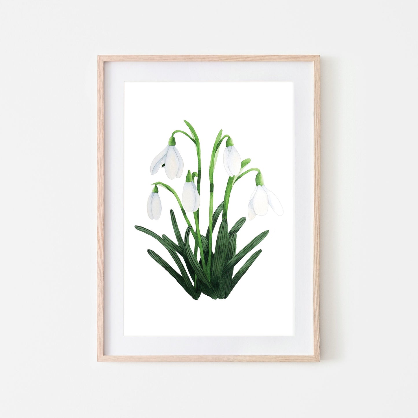 Snowdrop Art Print - A4 Unframed Botanical Watercolour Illustration