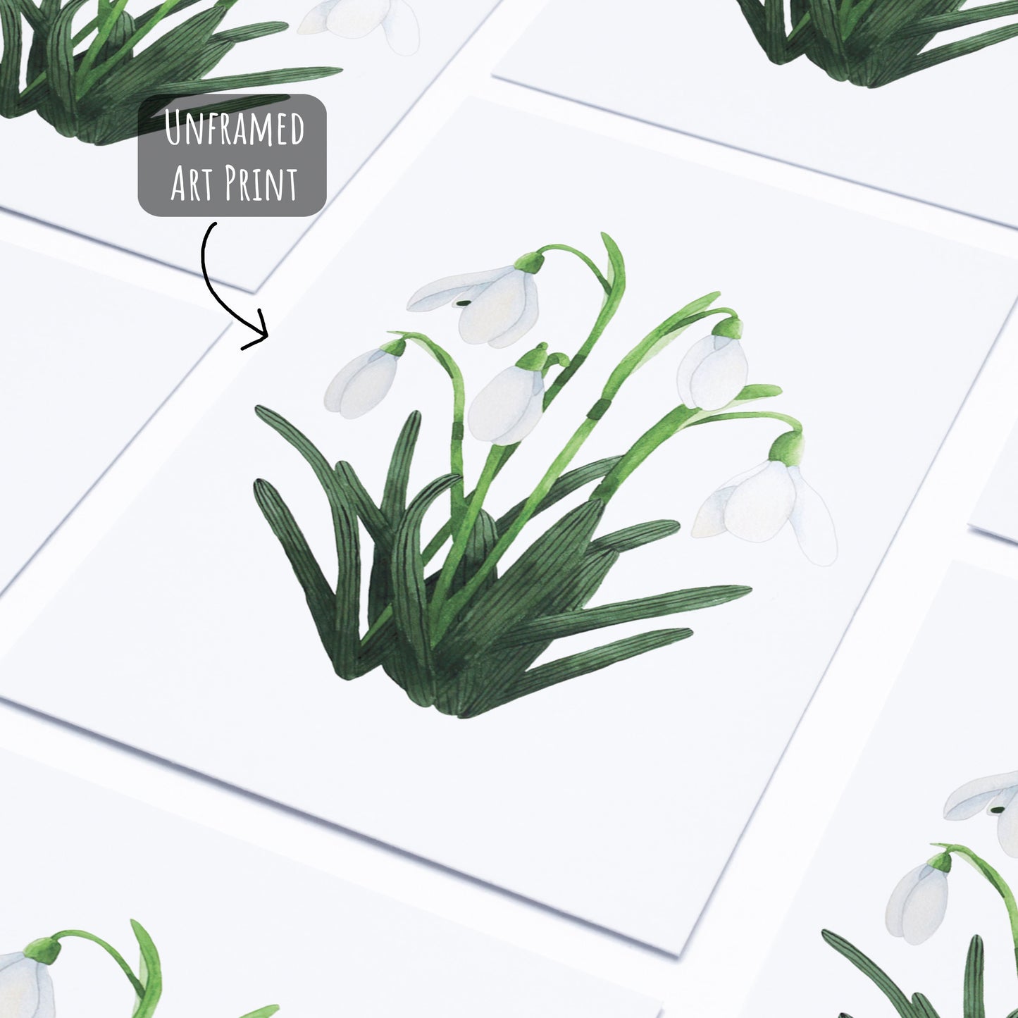 Snowdrop Art Print - A4 Unframed Botanical Watercolour Illustration