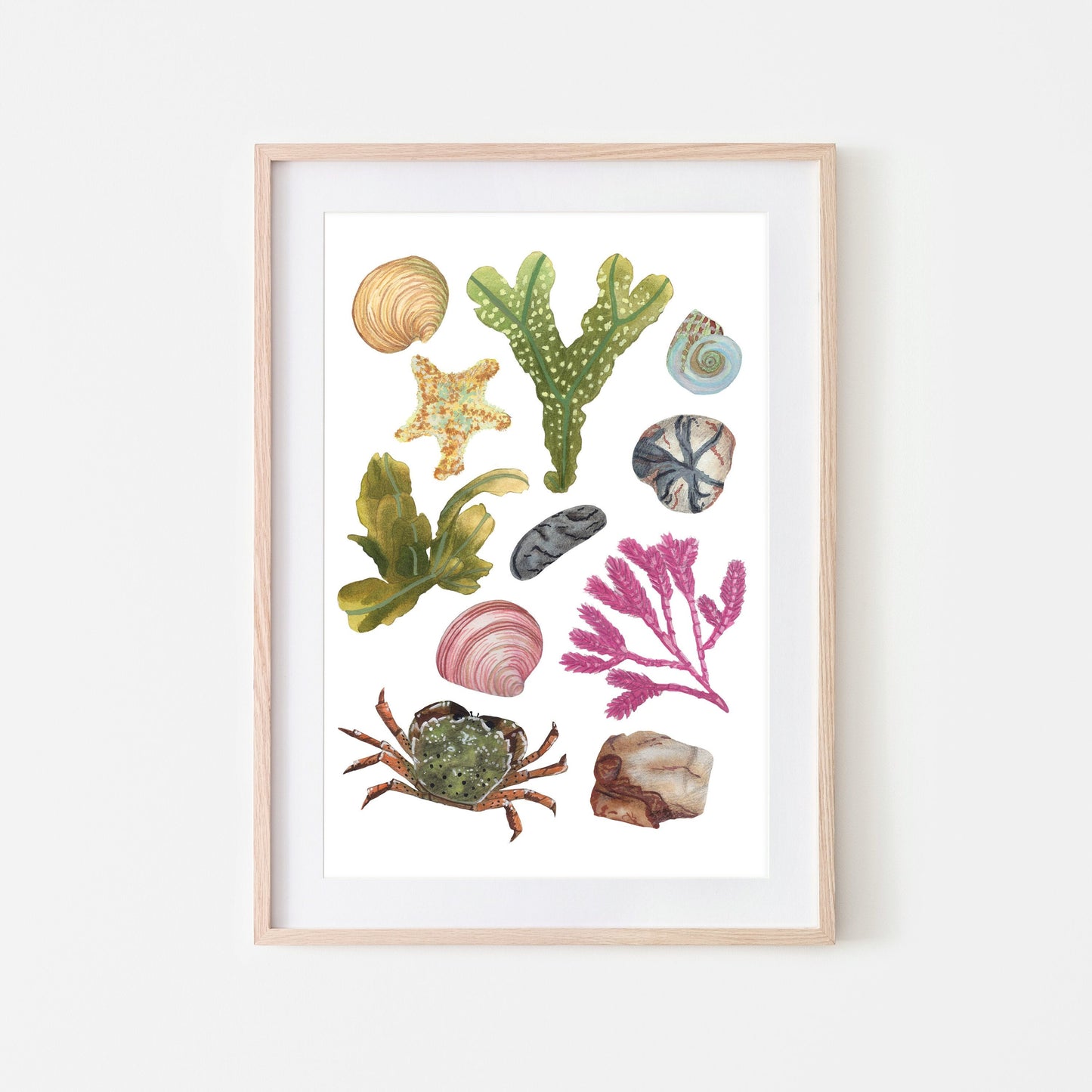 A framed art print featuring a variety of beach and rock pool life including seaweed, shells, and crabs. (framed not include with print)