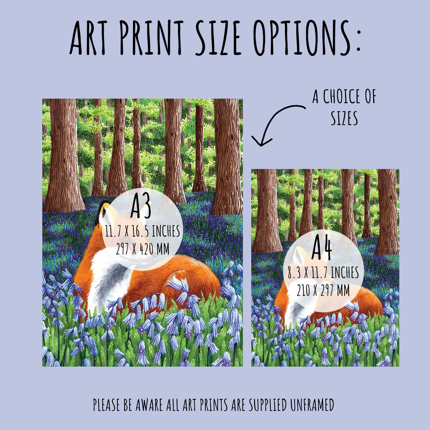 showing that this woodland fox art print comes in two sizes A4 & A3.