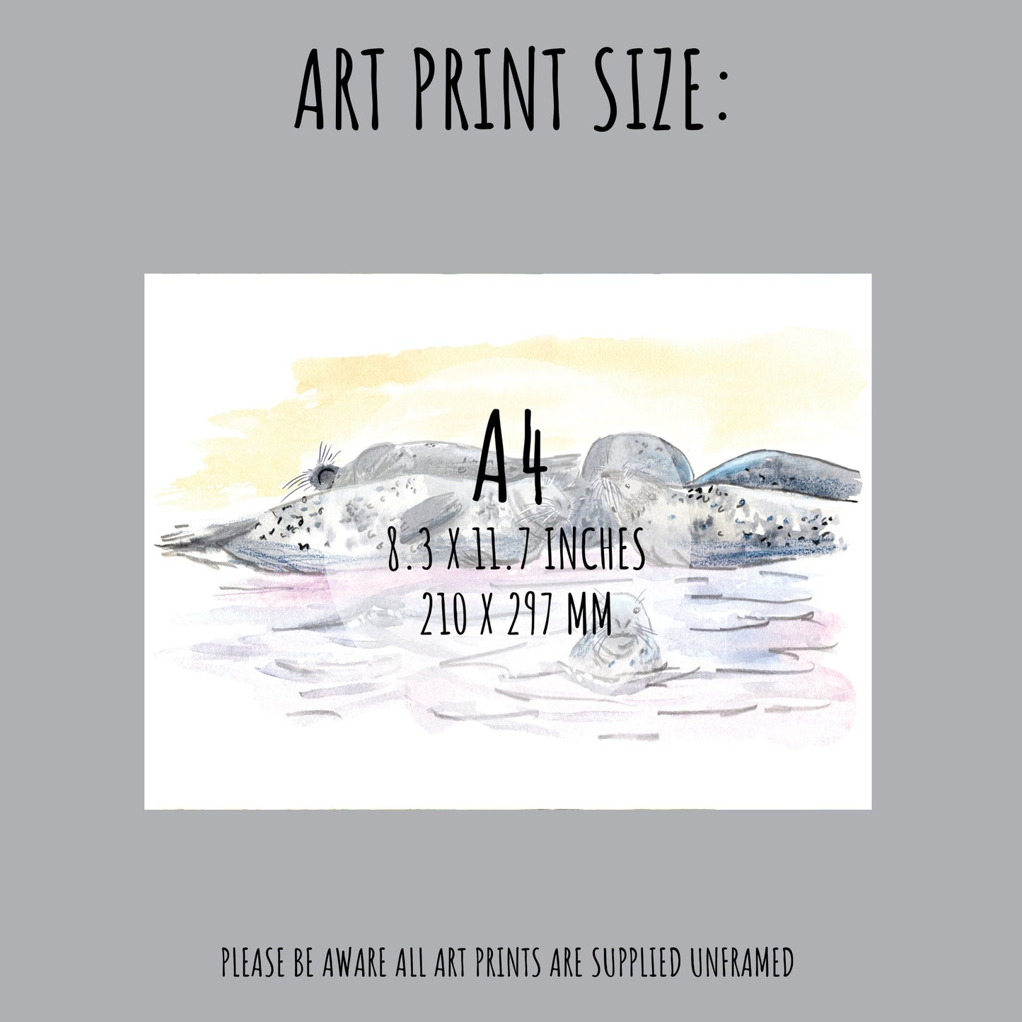 Showing the size of the Grey Seal Art Print which is A4 (210 x 297mm)