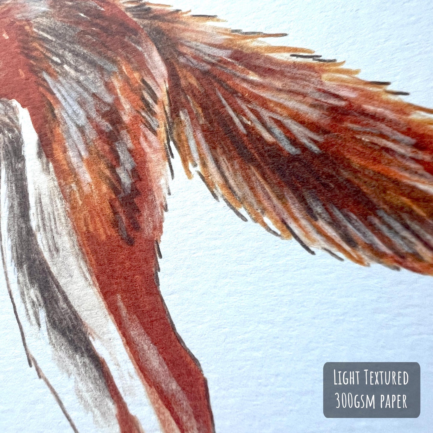 Jumping Red Fox Art Print close up showing the details and textures of the illustration and paper stock.
