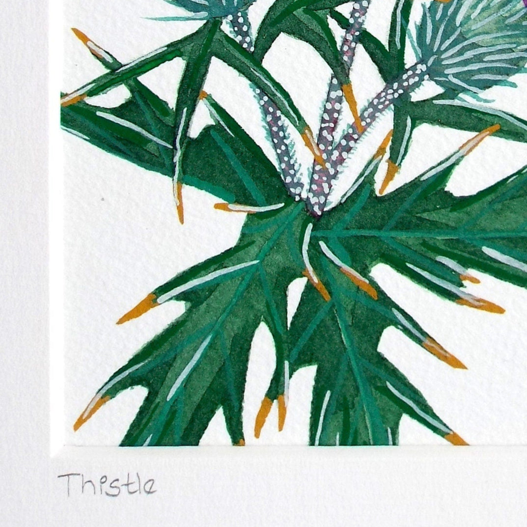 a close up of a watercolour and gouache thistle painting showing the details of the leaves