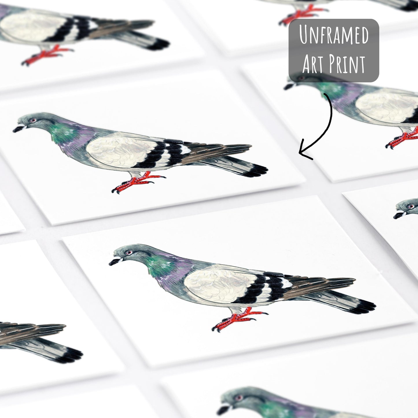 Pigeon Art Print unframed laying flat on a white surface.