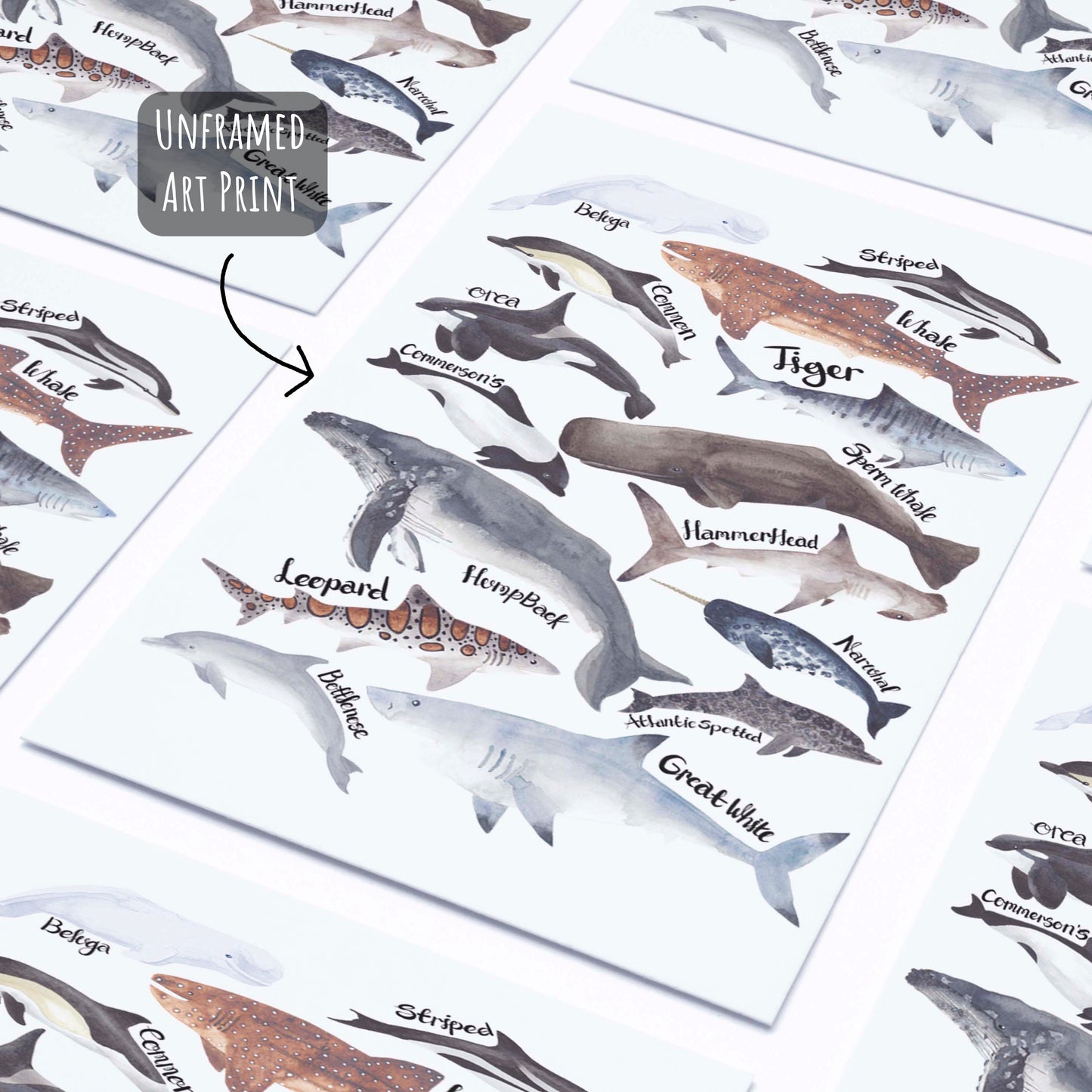 Sharks, Dolphins & Whales Art Print laying flat on a white surface unframed.