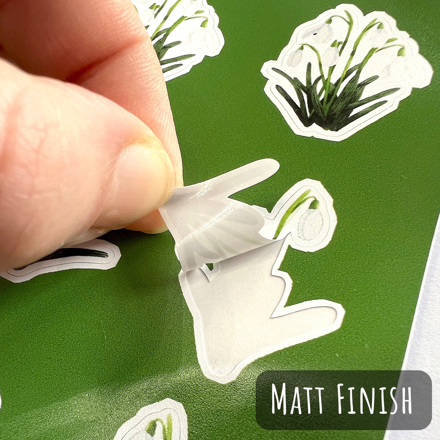 showing one of the sticks on the Snowdrop Flower Sticker Sheet being peeled off with the text of Matt finish.
