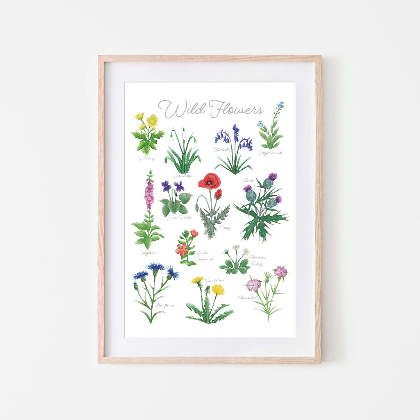British Wildflower Art Print - A4 & A3 Unframed Botanical Illustration