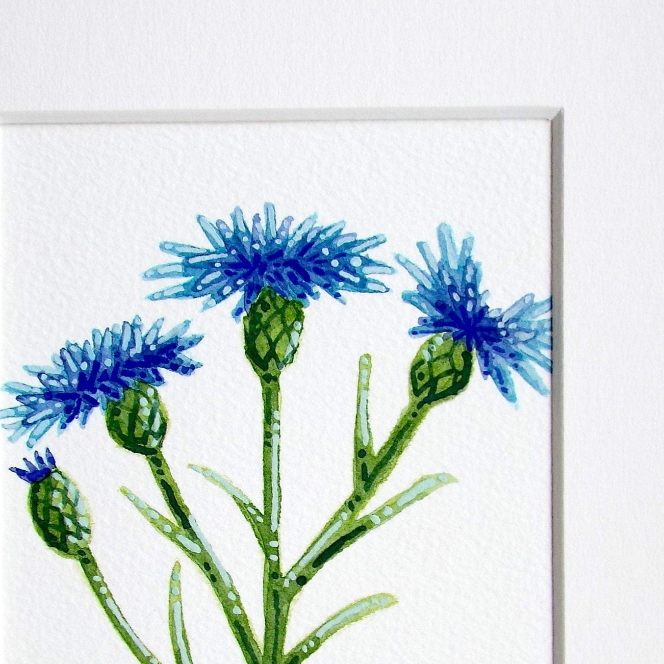 a close up of an artwork of a blue cornflower painted on a white paper