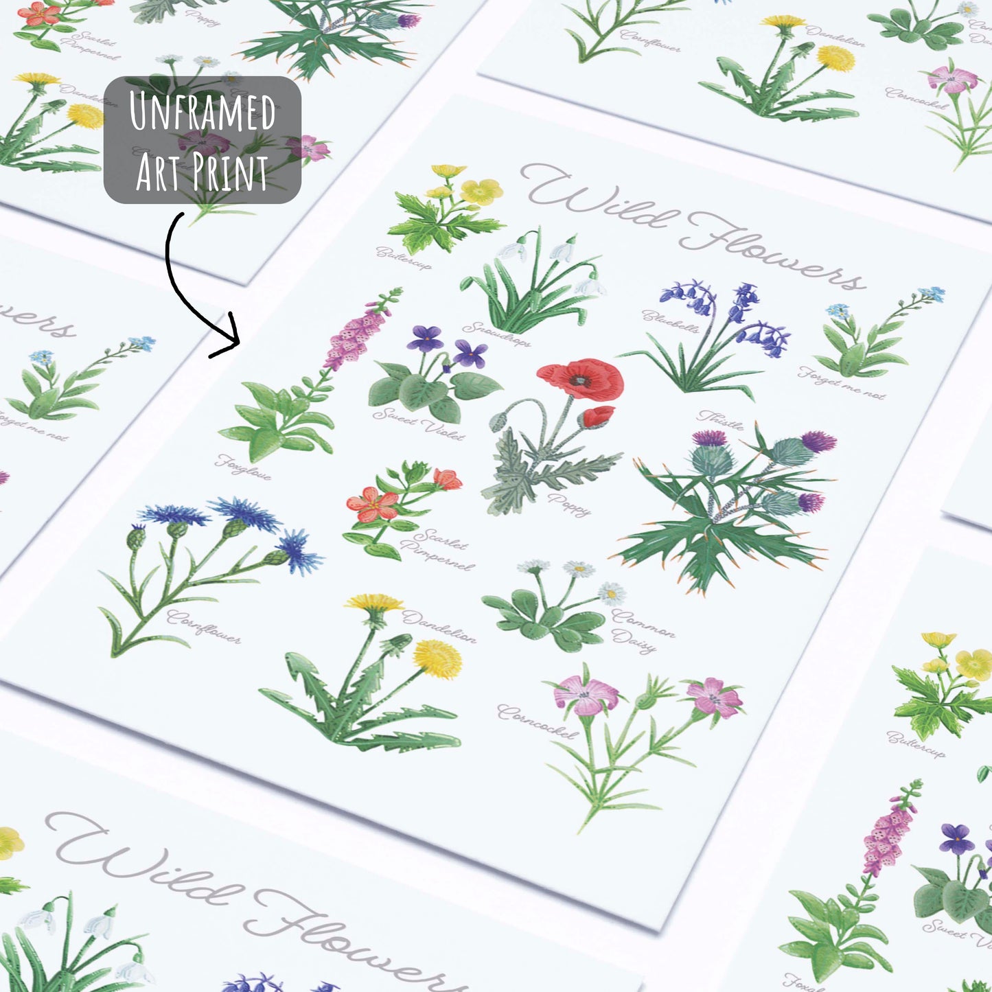 British Wildflower Art Print - A4 & A3 Unframed Botanical Illustration