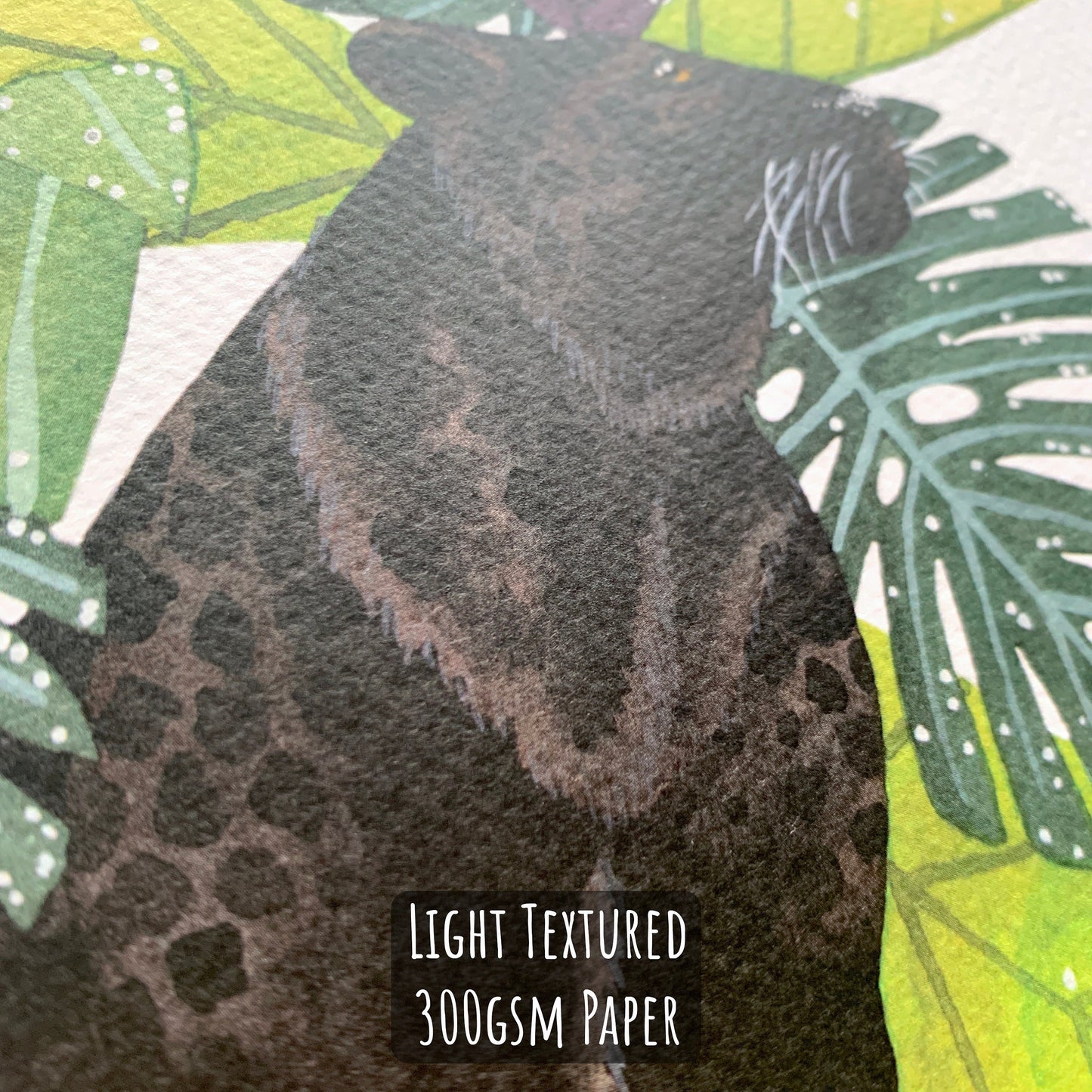 Black Leopard Art Print - A4 Unframed Jungle Animal Illustration