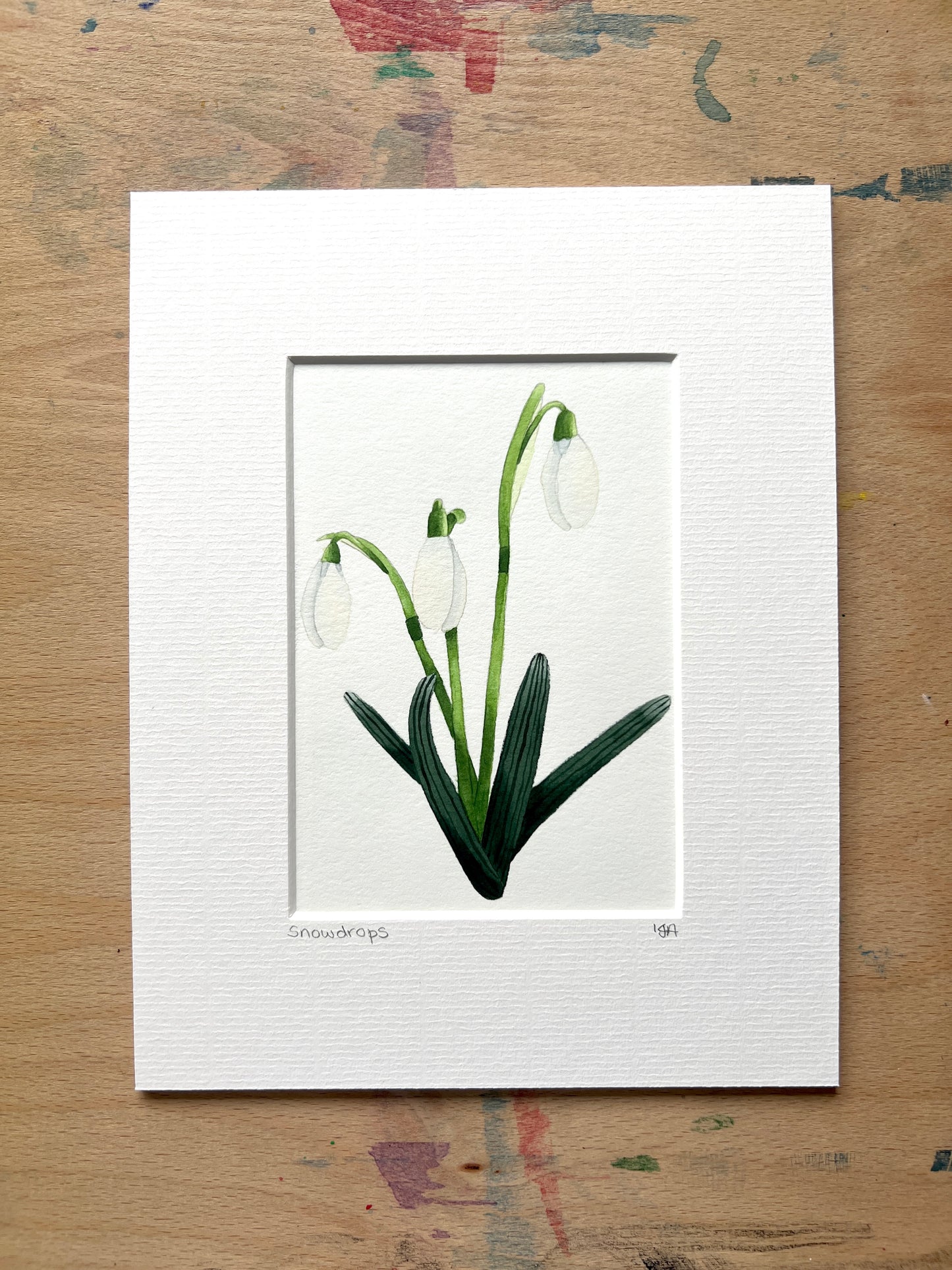 A hand-painted watercolor painting of a snowdrop flower with a white petal, green stem, and leaves on a white background, framed in a picture mount.