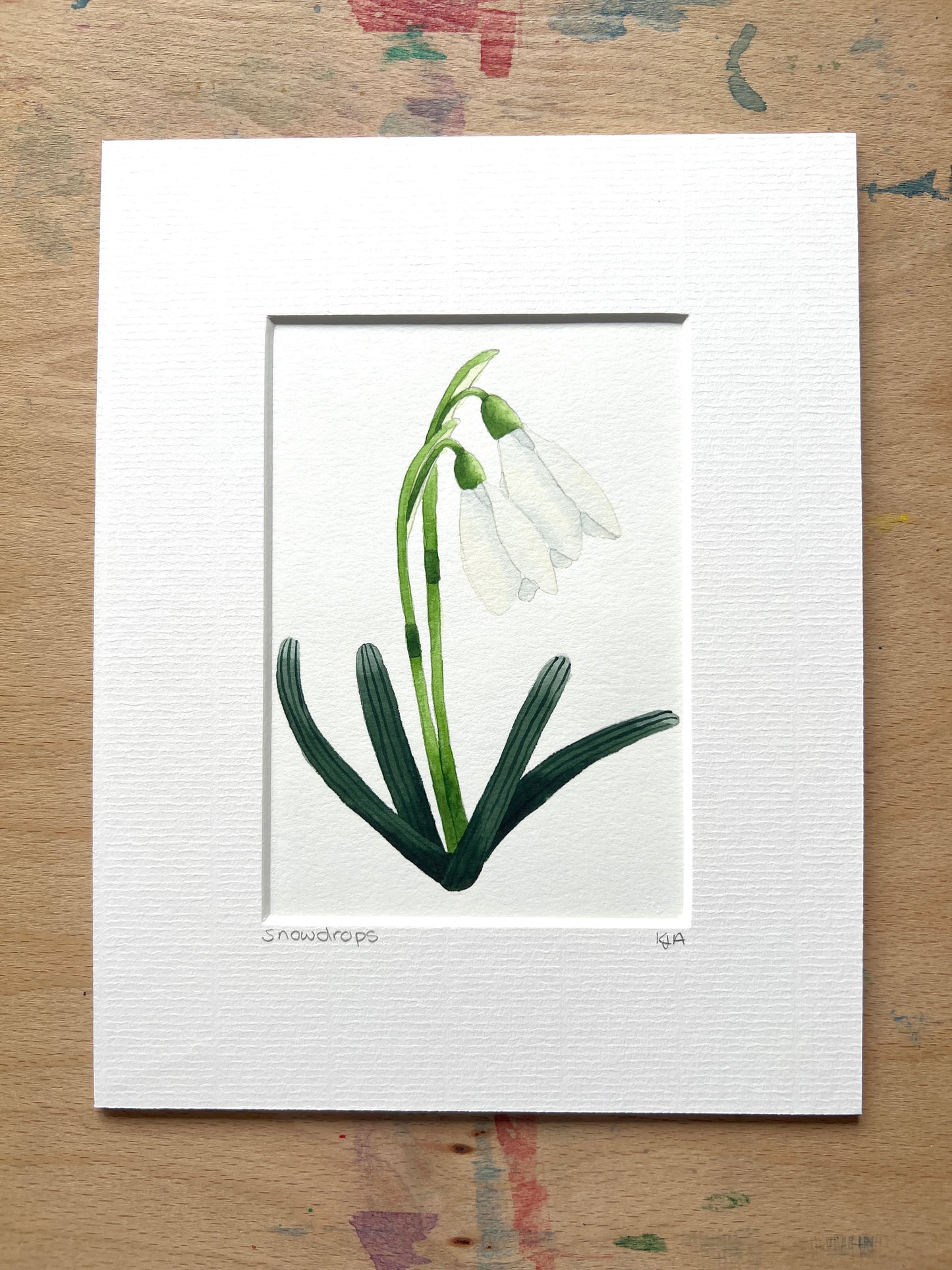 A hand-painted watercolor painting of a snowdrop flower with a white petal, green stem, and leaves on a white background, framed in a picture mount.