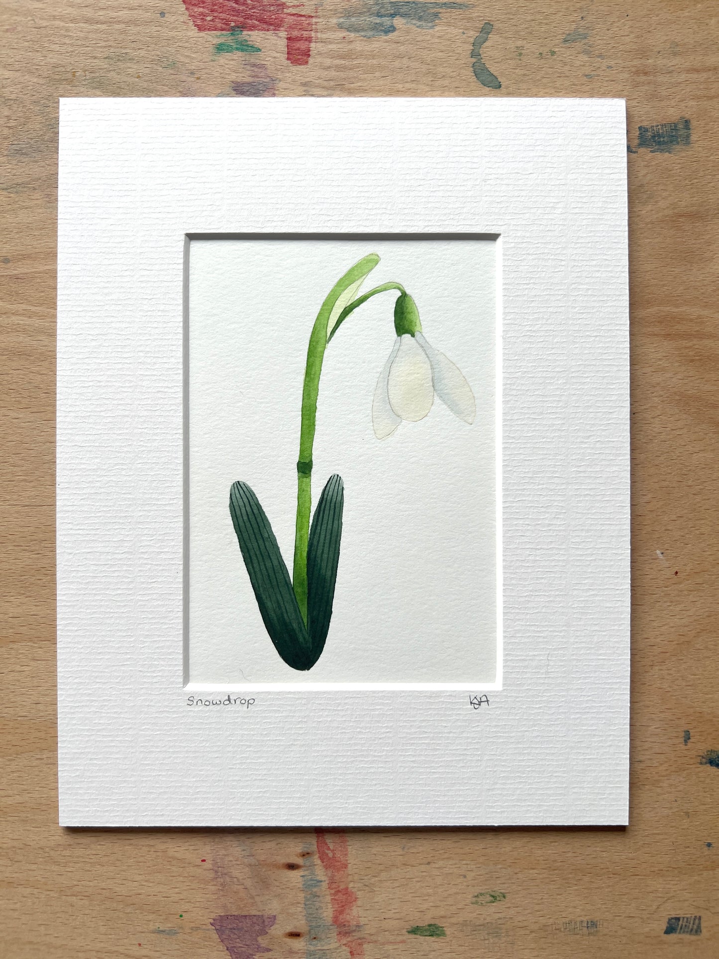 A hand-painted watercolor painting of a snowdrop flower with a white petal, green stem, and leaves on a white background, framed in a picture mount.