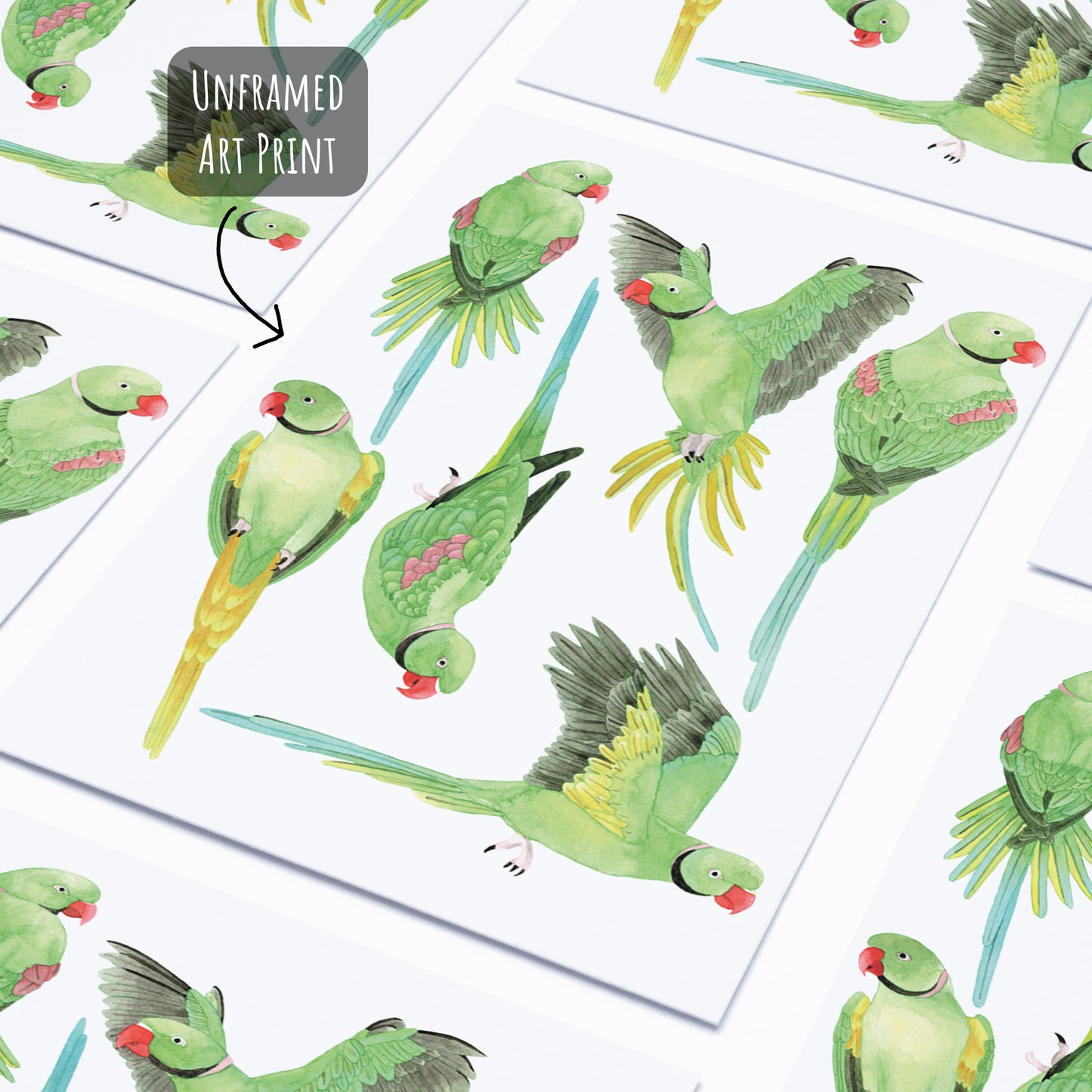 Green Indian Ringneck Parakeet Art Print - Unframed A4 Exotic Bird Illustration