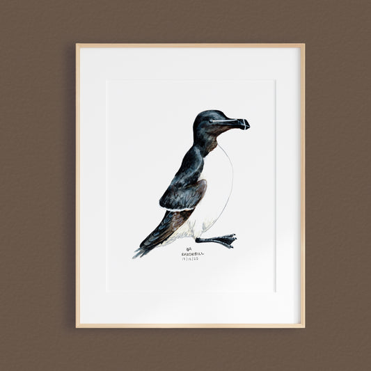A framed mixed media original painting of a Razorbill bird featuring a light wood frame on white, displayed against a textured brown wall.
