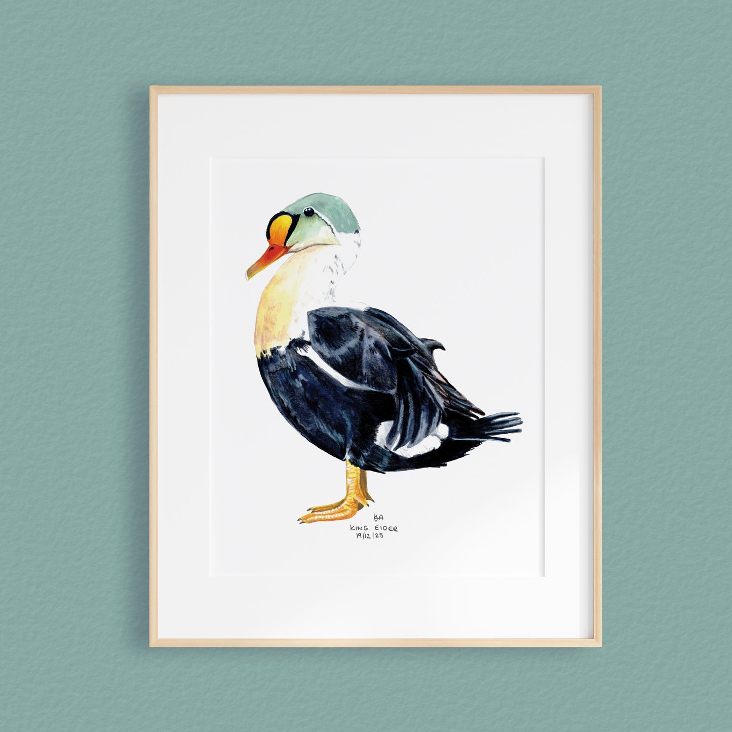 A framed mixed media original painting of a King eider duck featuring a light wood frame on white, displayed against a textured teal wall.
