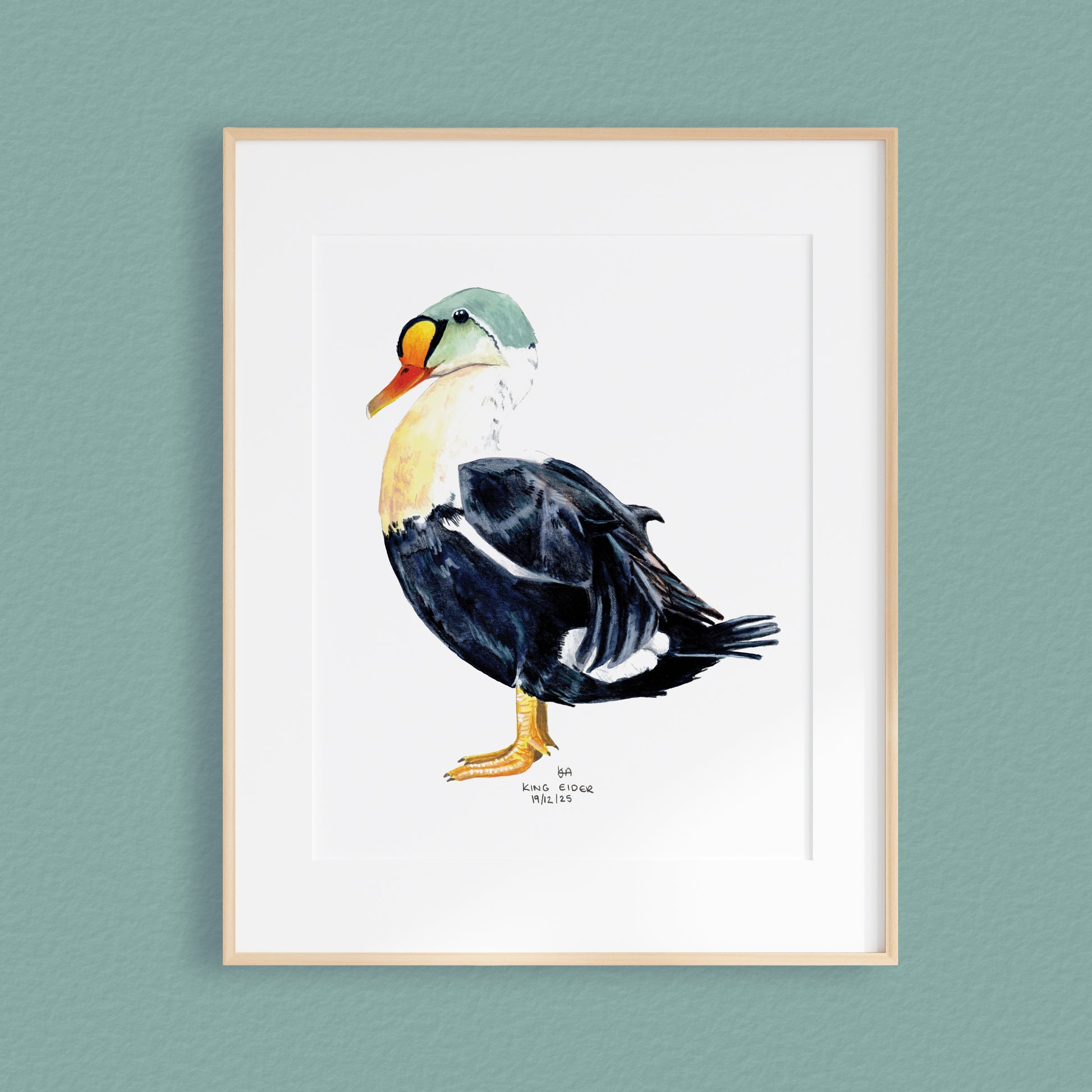 A framed mixed media original painting of a King eider duck featuring a light wood frame on white, displayed against a textured teal wall.