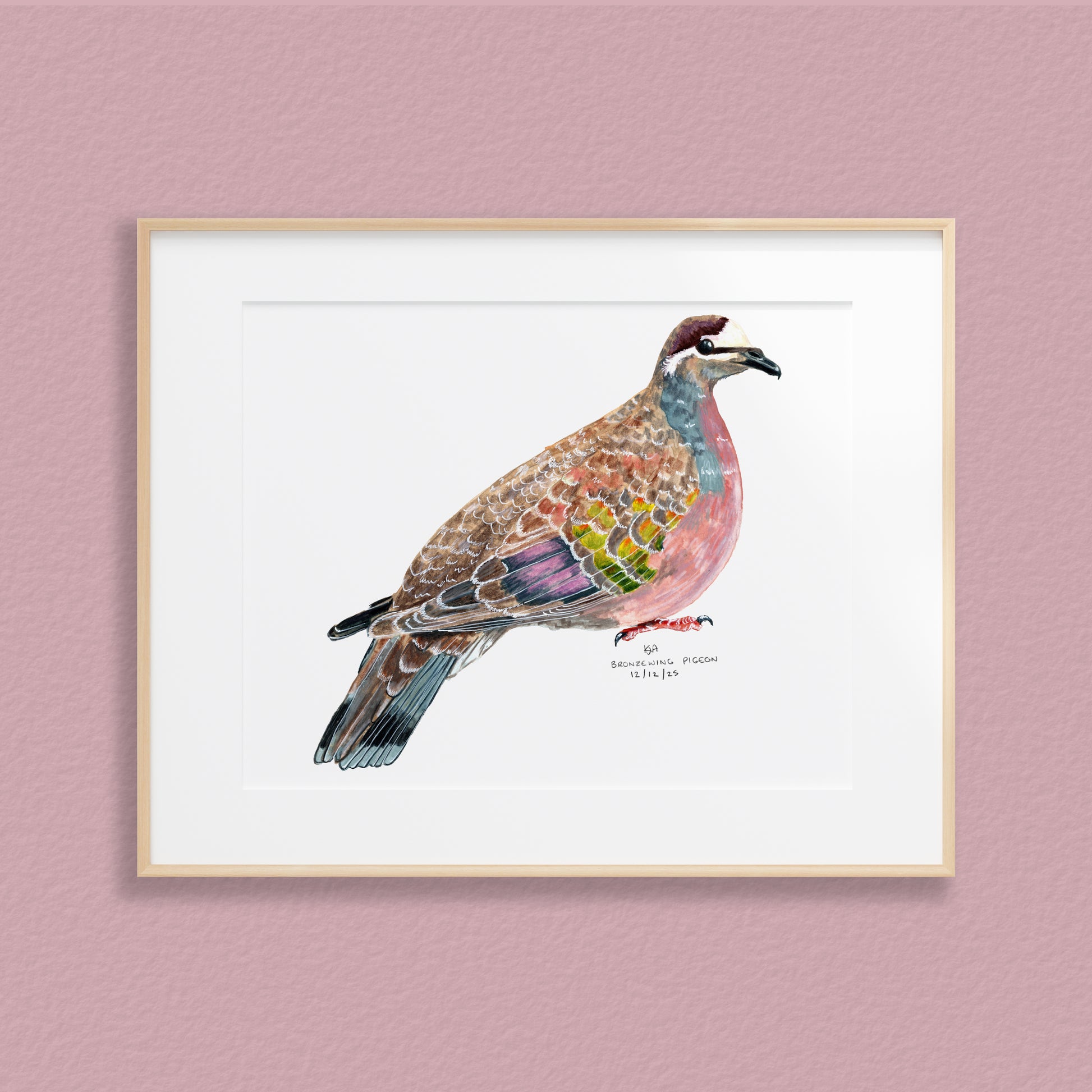 A framed mixed media original painting of a Bronzewing Dove featuring a light wood frame on white, displayed against a textured pink-grey wall.