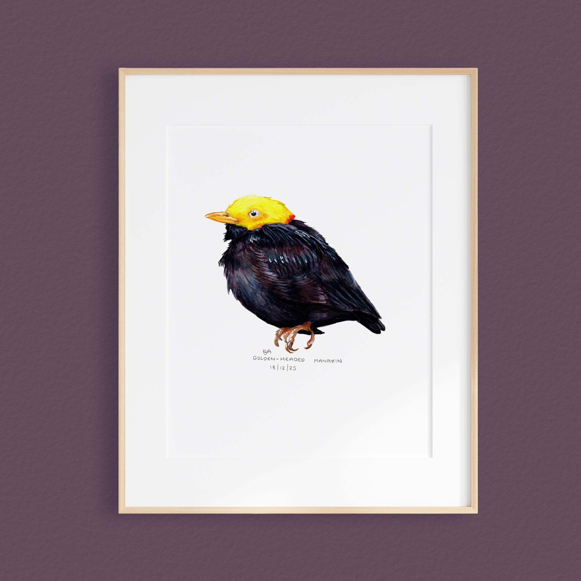 A framed artwork featuring a mixed media illustration of a bird with a bright yellow head and dark plumage, displayed against a solid dark mauve background.