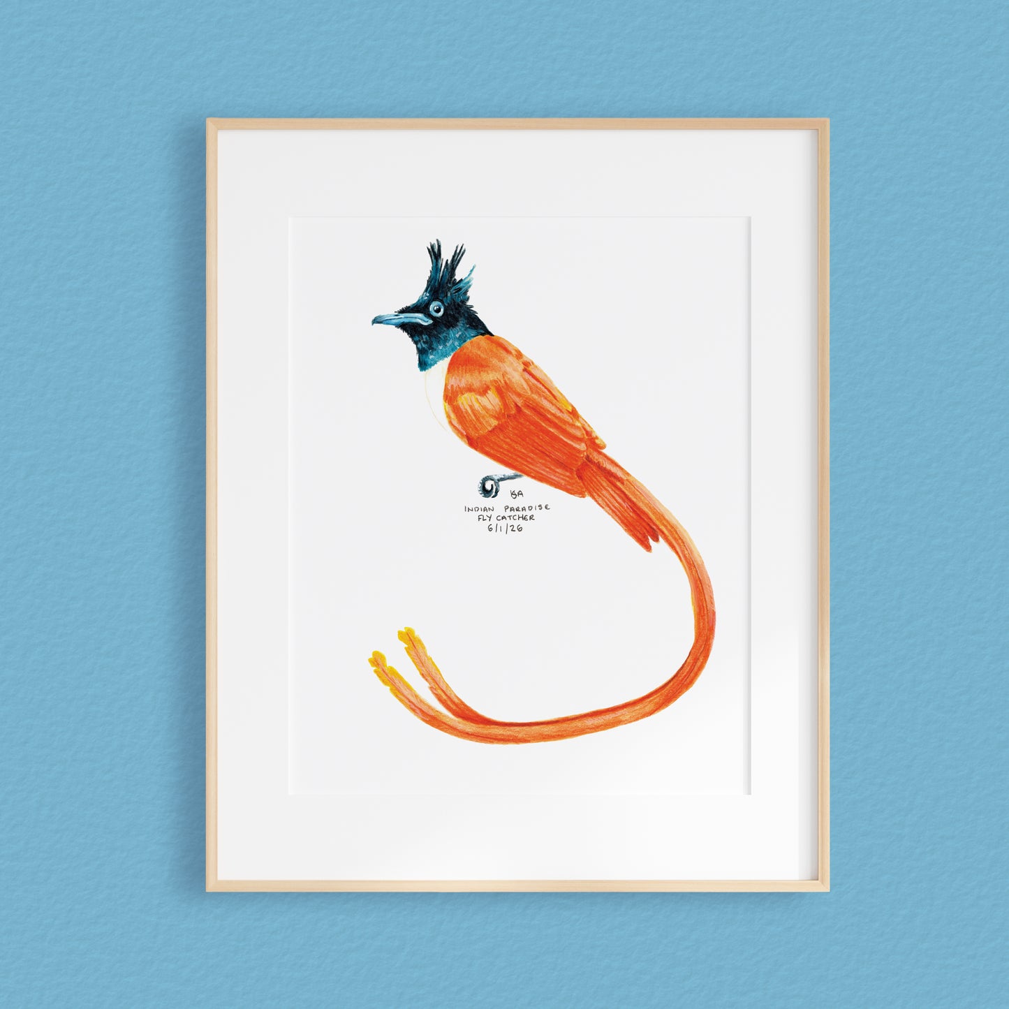 A framed mixed media original painting of a Indian Paradise Flycatcher bird featuring a light wood frame on white, displayed against a textured blue wall.