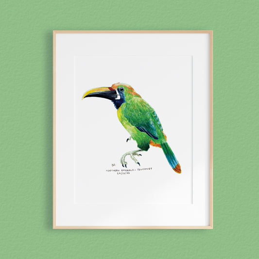 A framed mixed media original painting of a emerald green toucanet bird featuring a light wood frame on white, displayed against a textured green wall.
