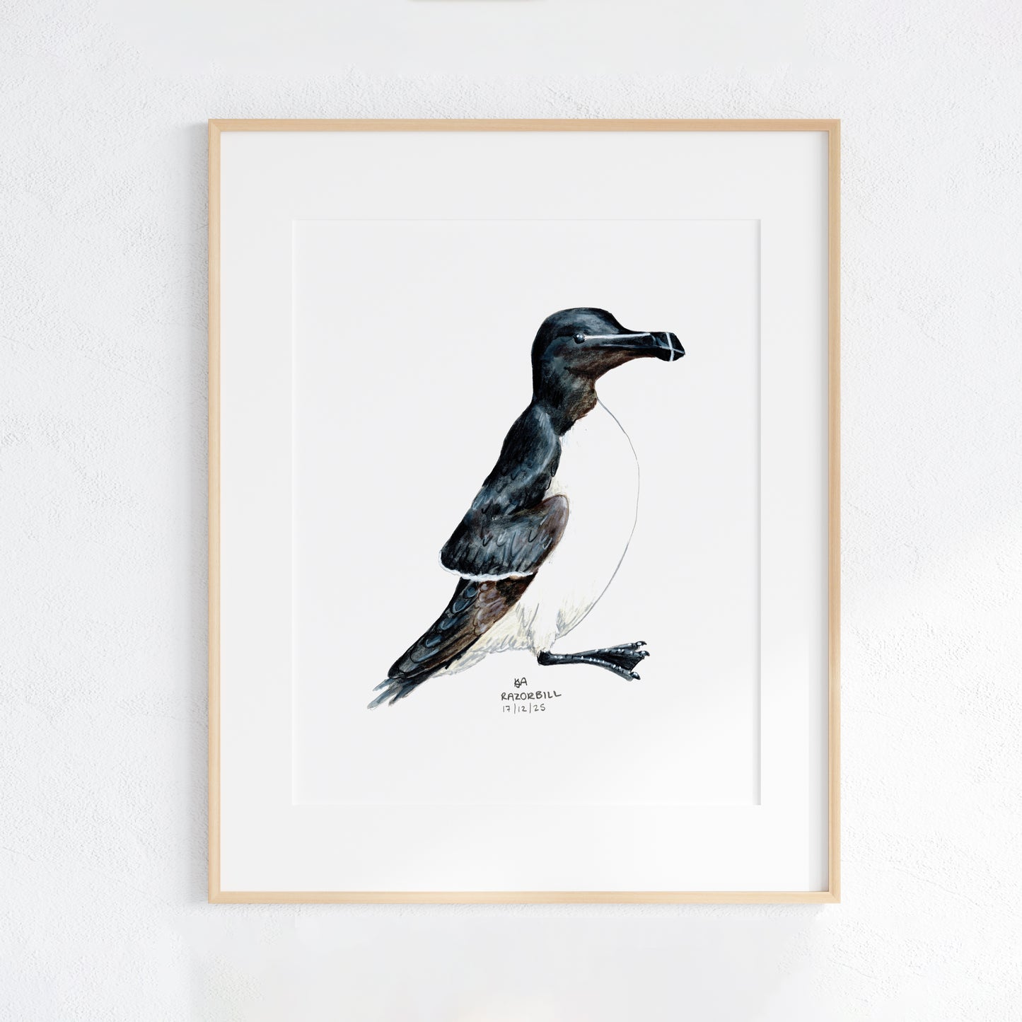 Framed artwork of a Razorbill bird on a white wall