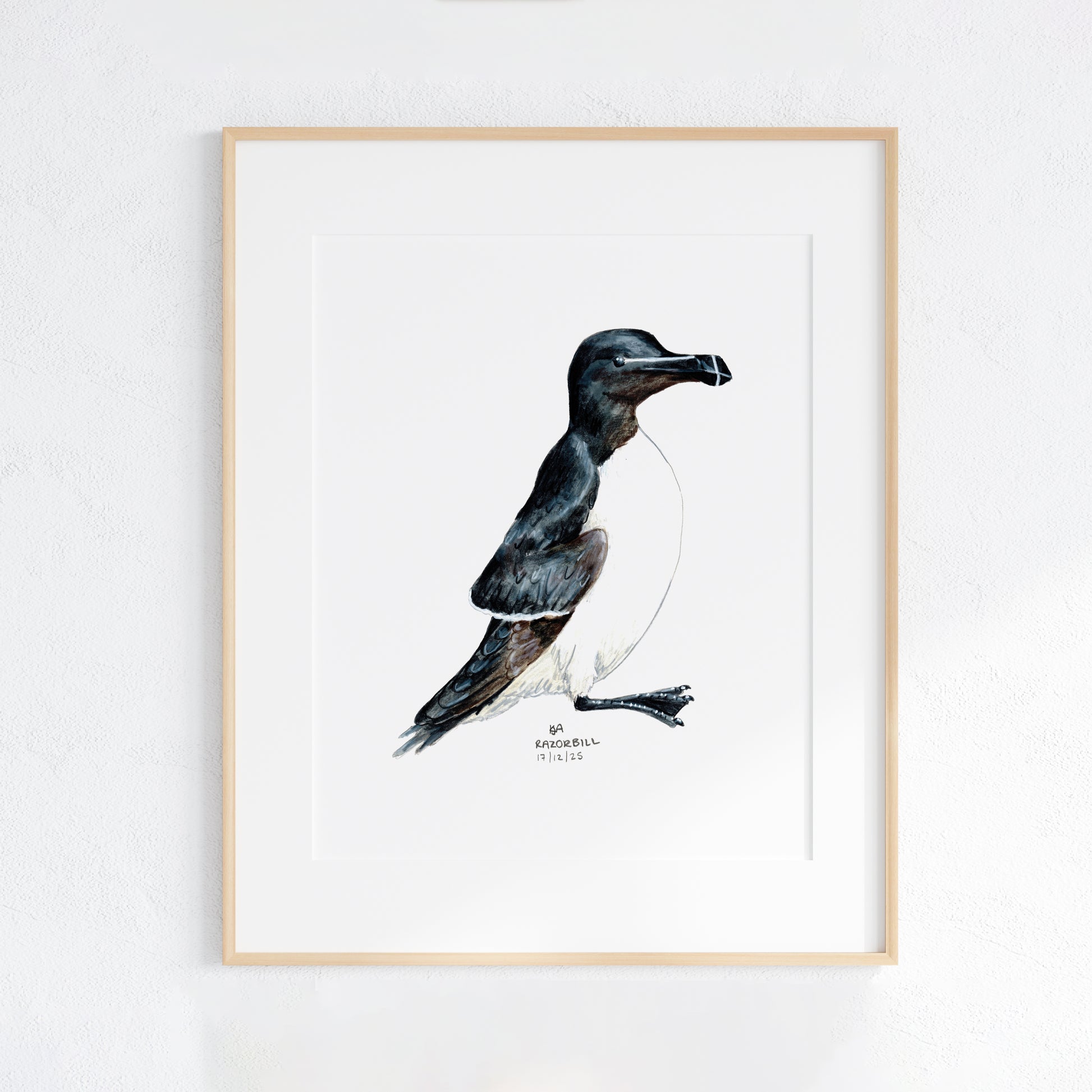 Framed artwork of a Razorbill bird on a white wall