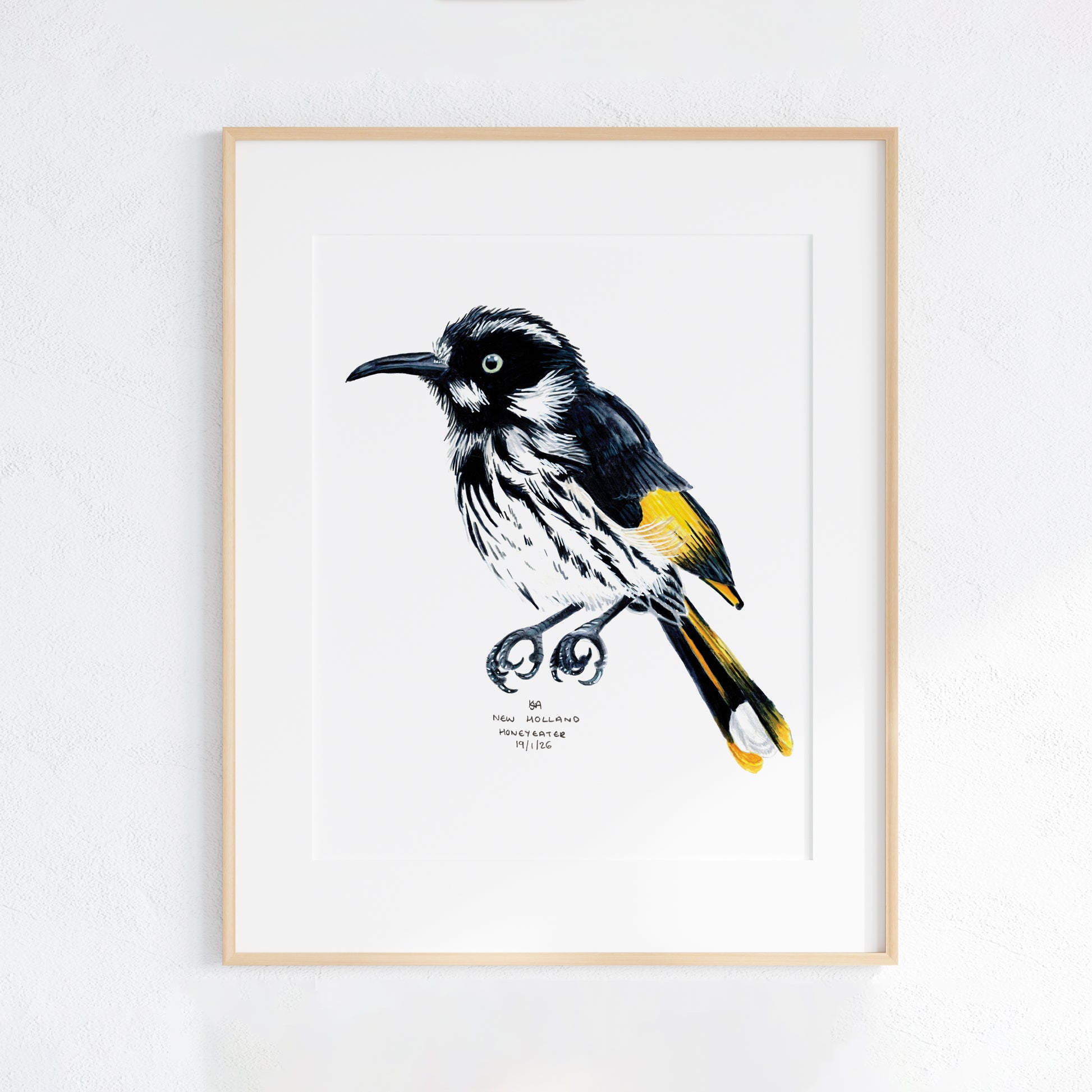 Framed artwork of a New Holland Honeyeater bird with a white background