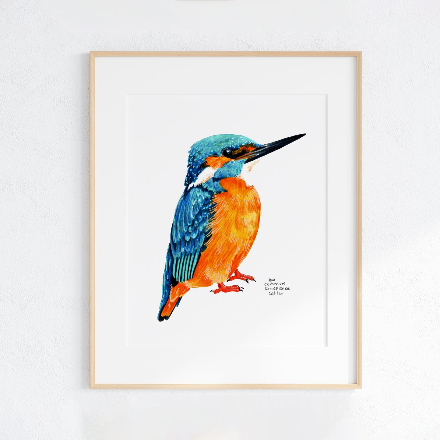 Framed artwork of a colorful kingfisher bird on a white background