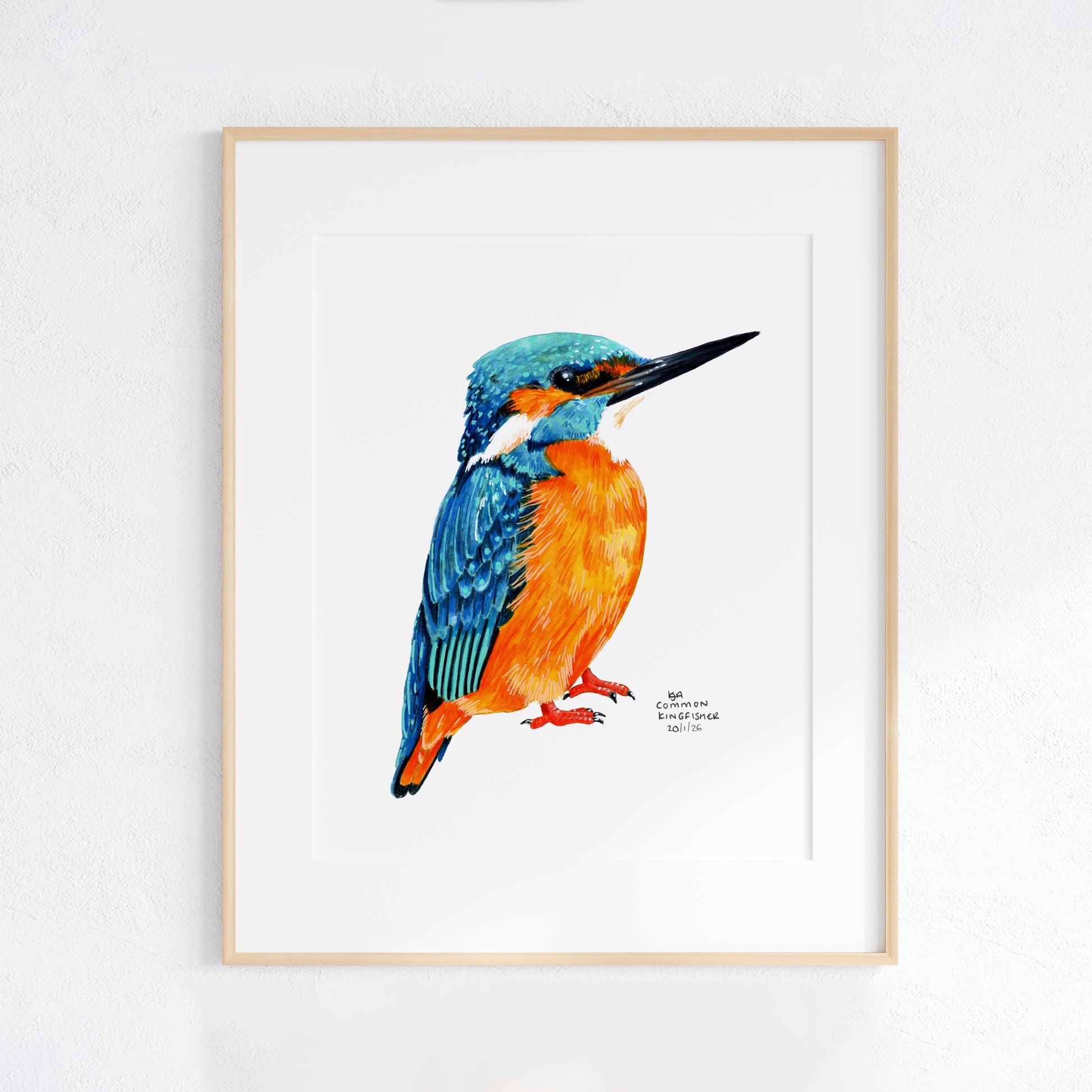 Framed artwork of a colorful kingfisher bird on a white background