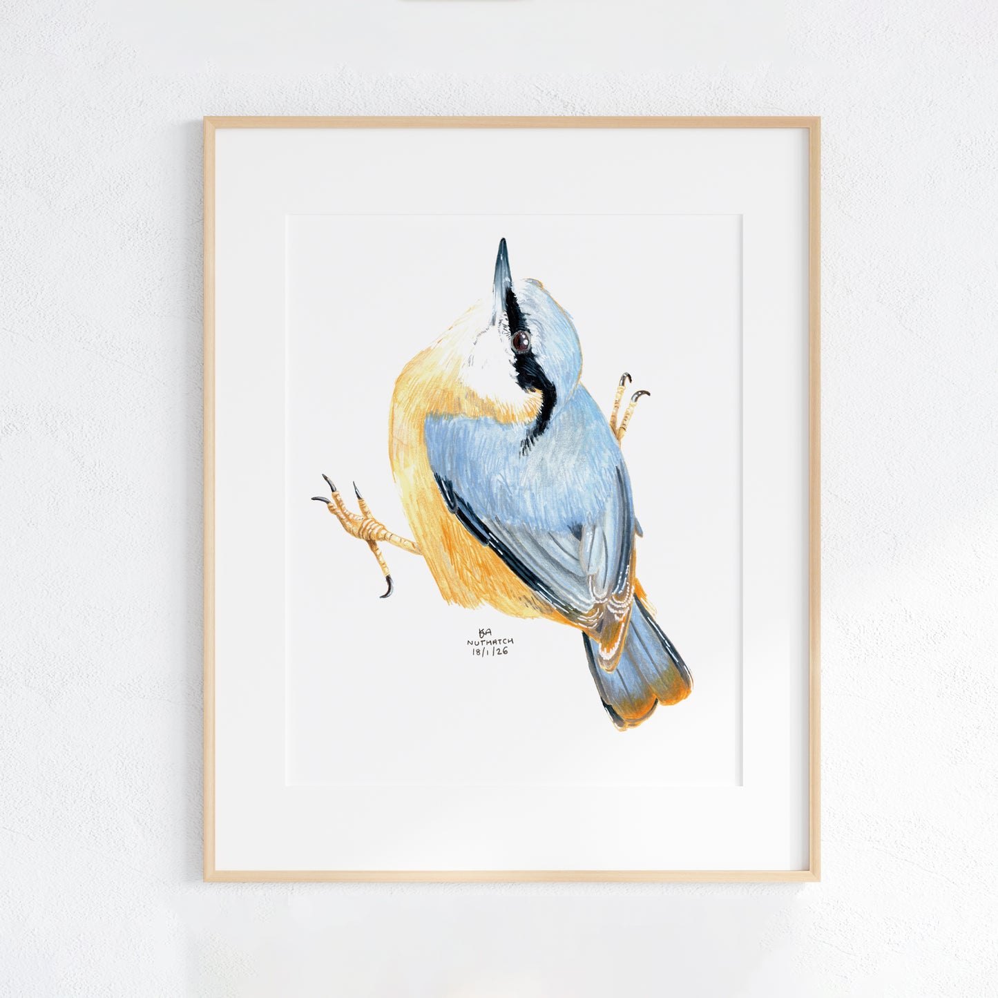 Framed artwork of a blue and yellow Nuthatch bird on a white background