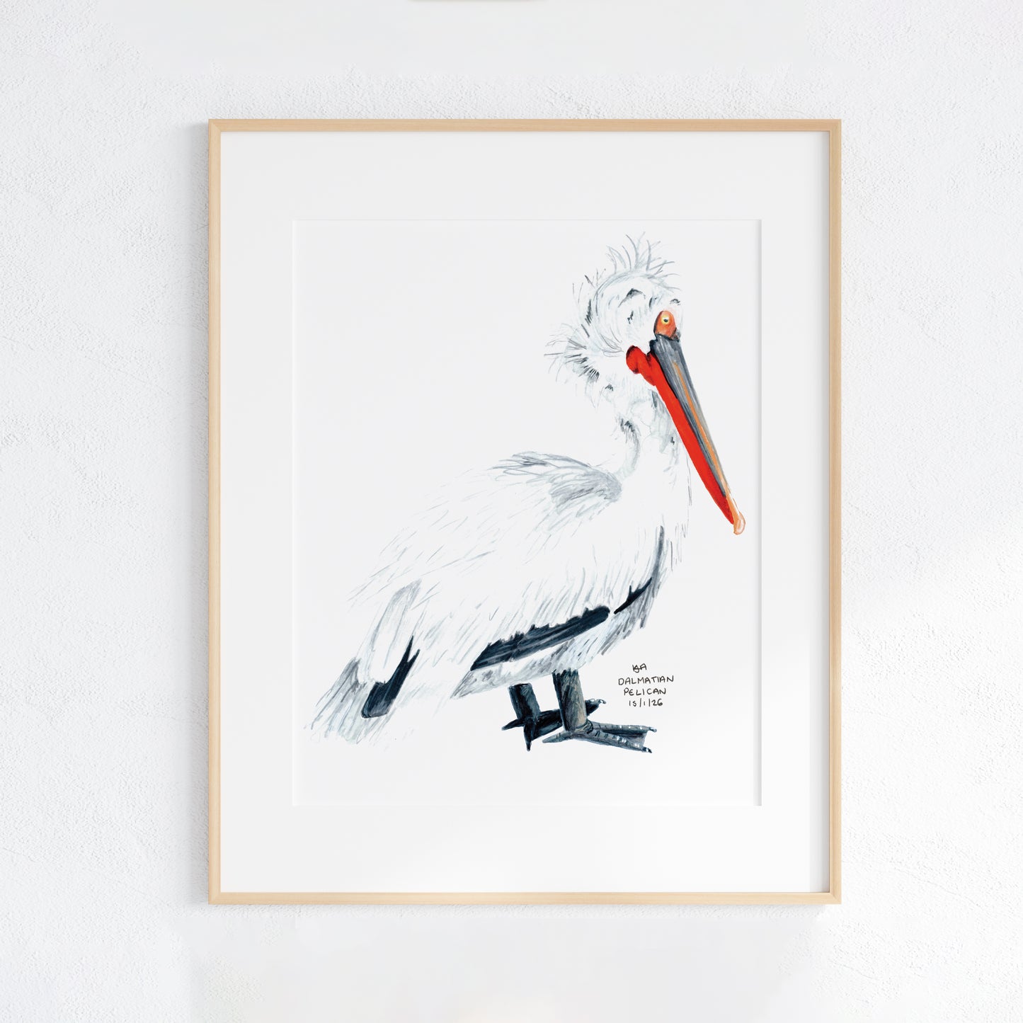 Framed artwork of a Dalmatian pelican on a white background