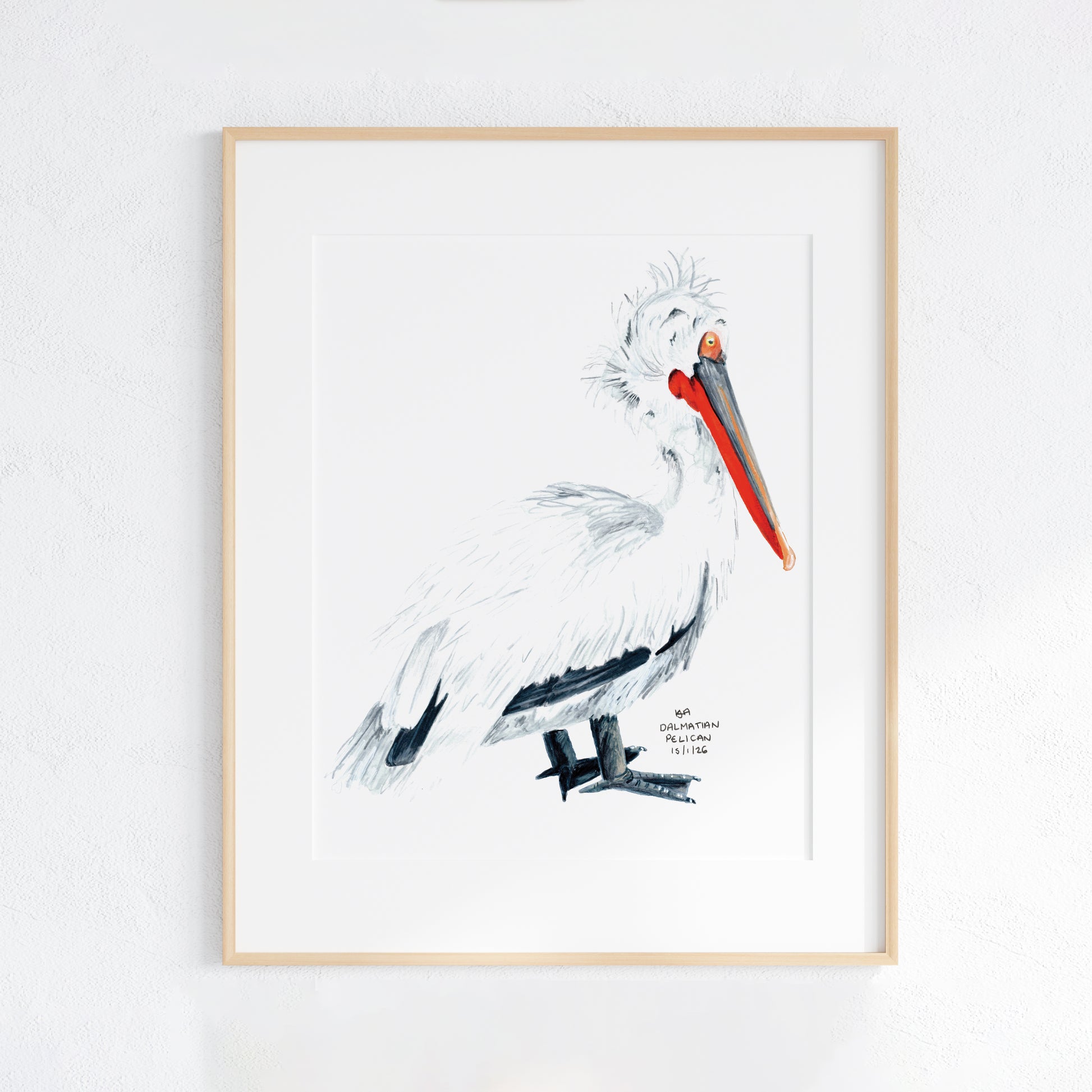 Framed artwork of a Dalmatian pelican on a white background