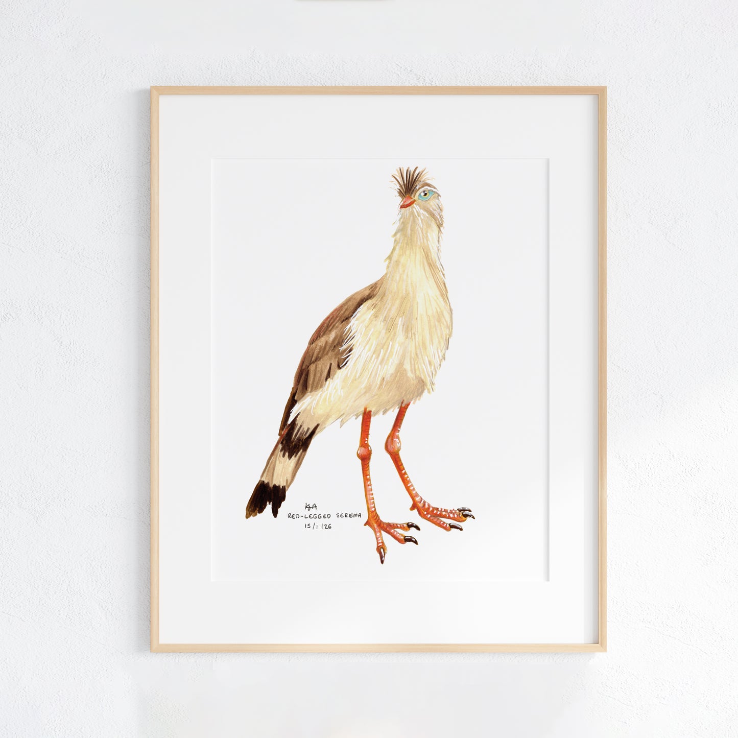 Framed artwork of a Red-Legged Seriema  bird on a white background