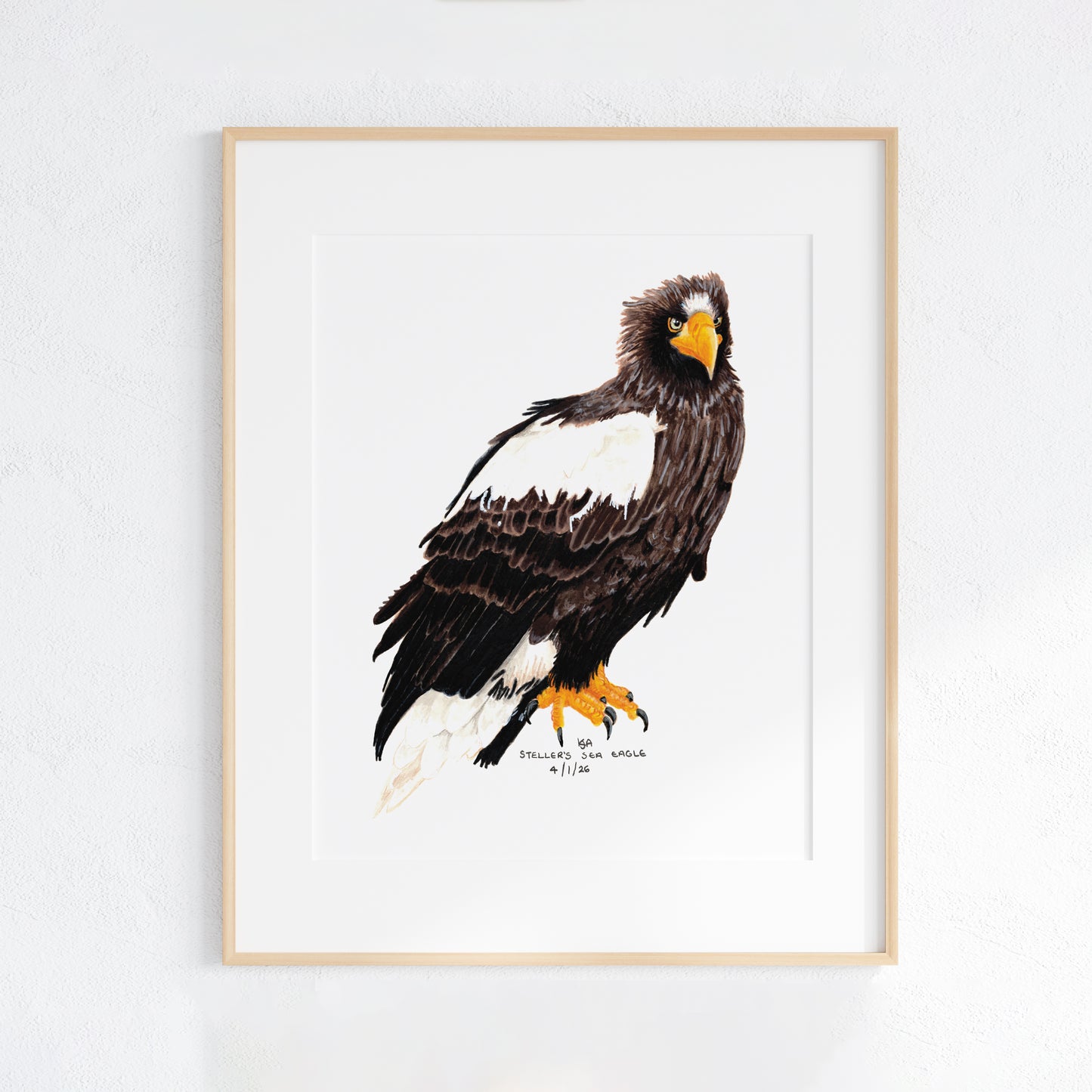 Framed artwork of an steller's sea eagle on a white wall