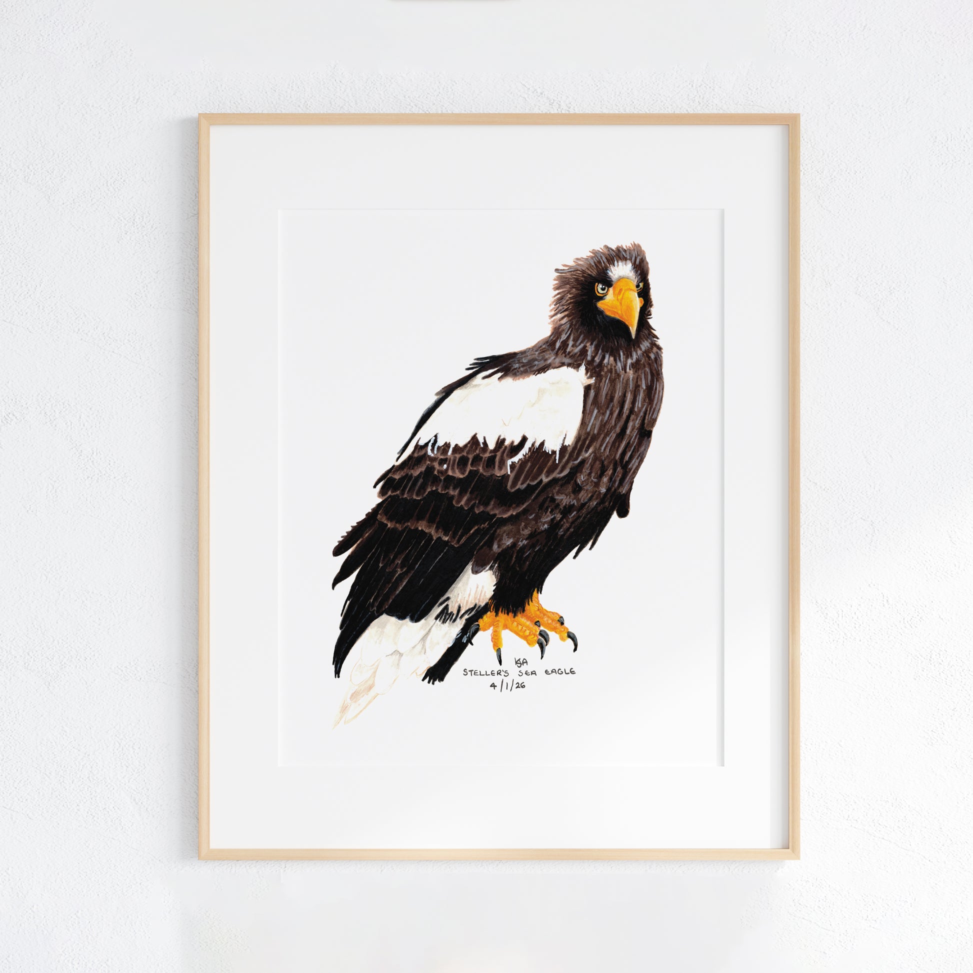 Framed artwork of an steller's sea eagle on a white wall