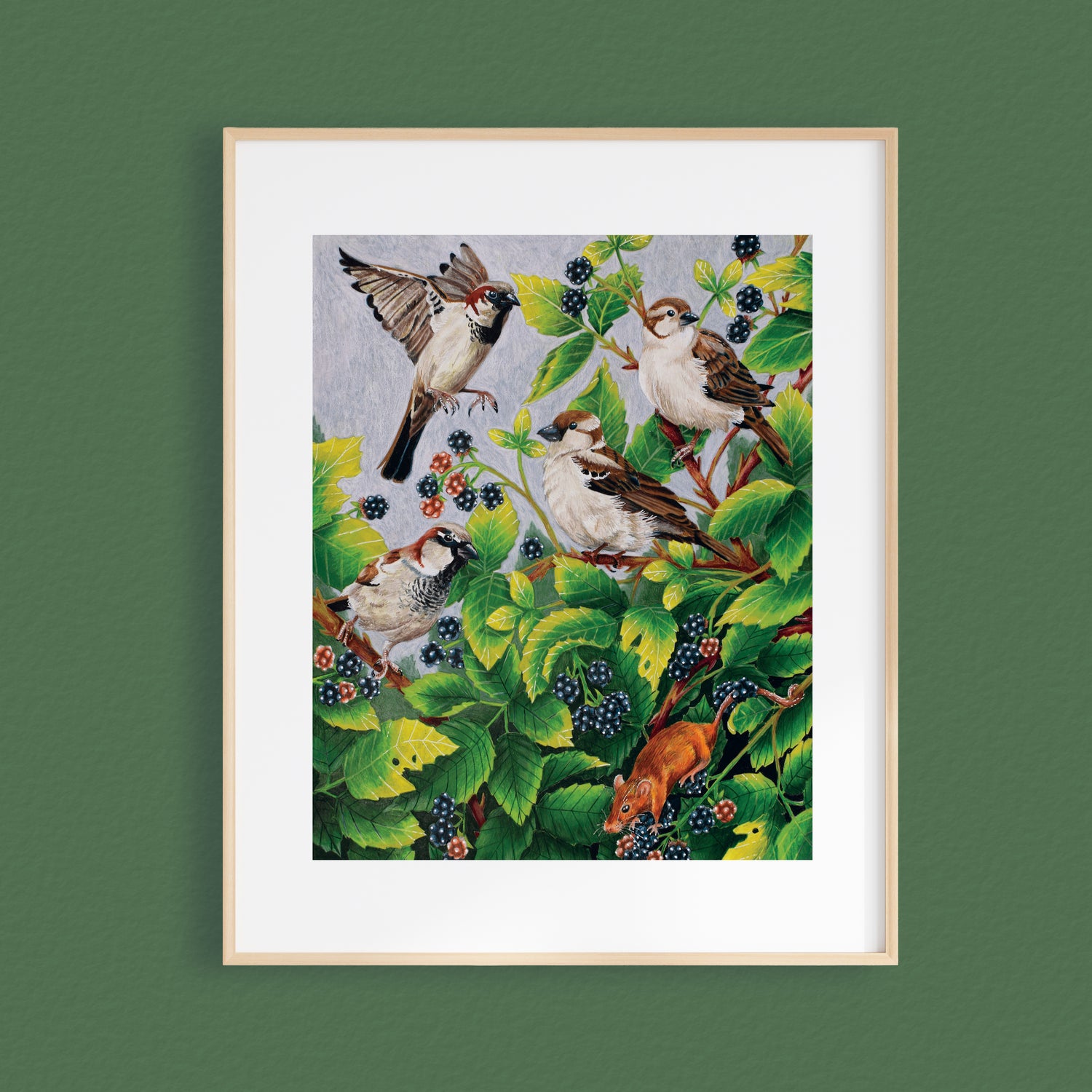 A framed art print featuring four sparrows perched among green leaves and blackberries, displayed on a dark green wall.