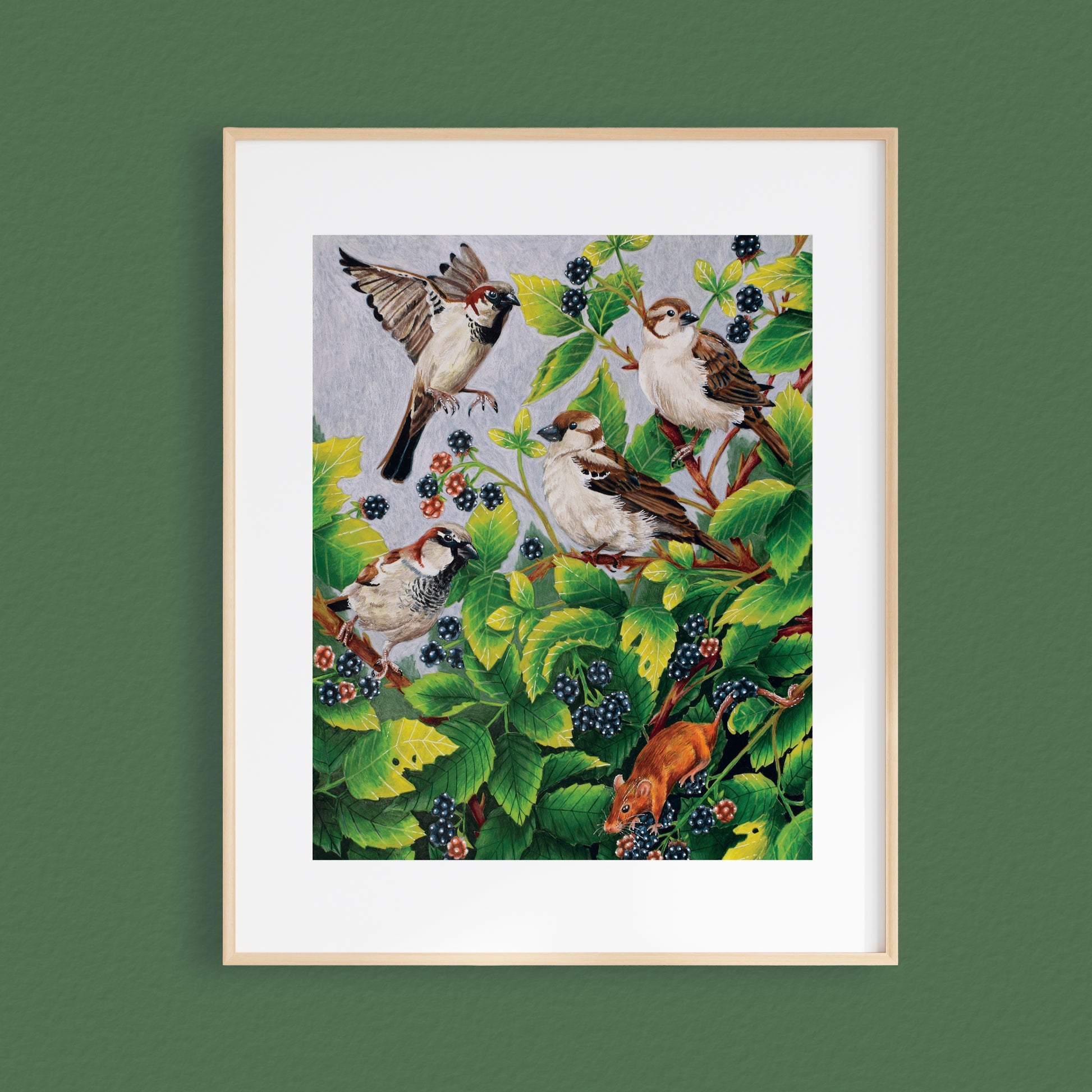 A framed art print featuring four sparrows perched among green leaves and blackberries, displayed on a dark green wall.