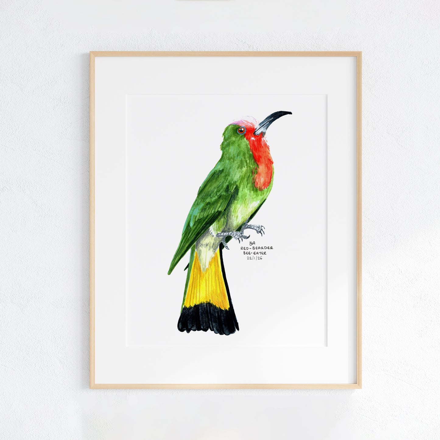 Framed artwork of a colourful Red-bearded Bee-eater bird on a white background