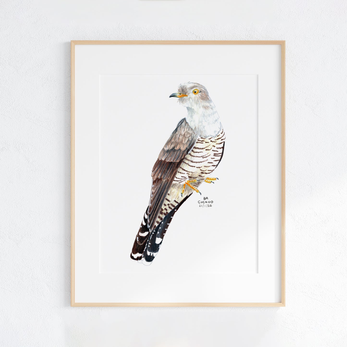 Framed artwork of a Cuckoo bird on a white background