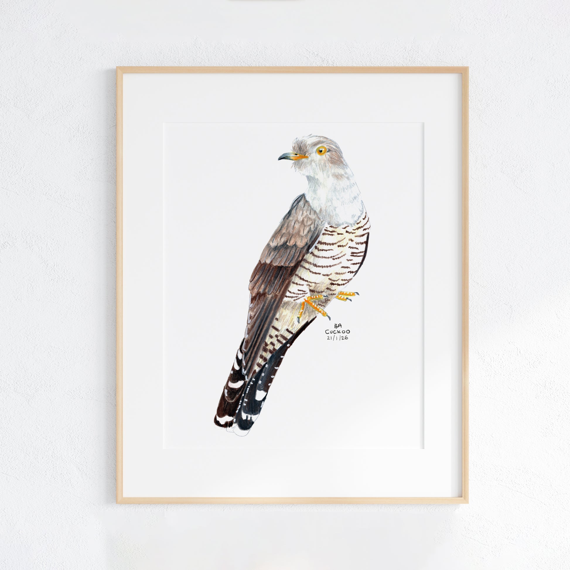 Framed artwork of a Cuckoo bird on a white background