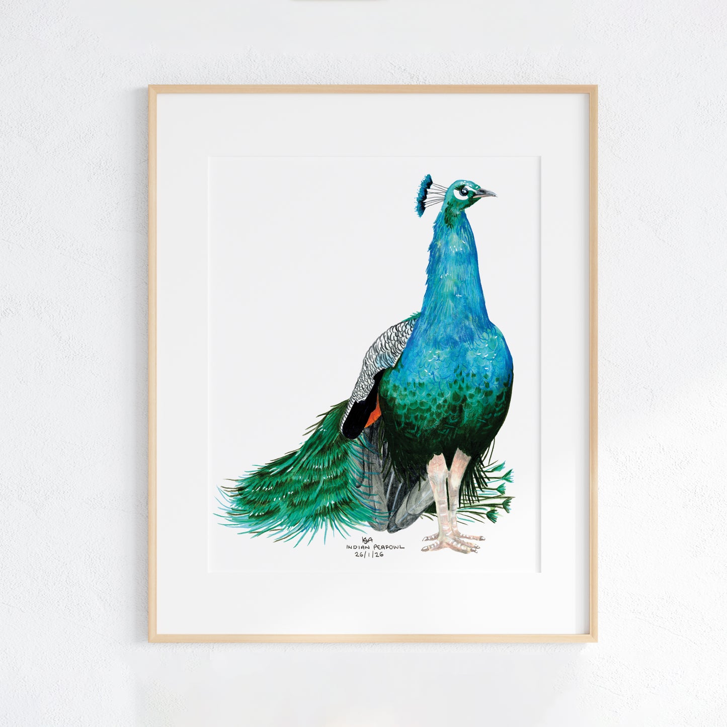 Framed artwork of a peacock on a white background