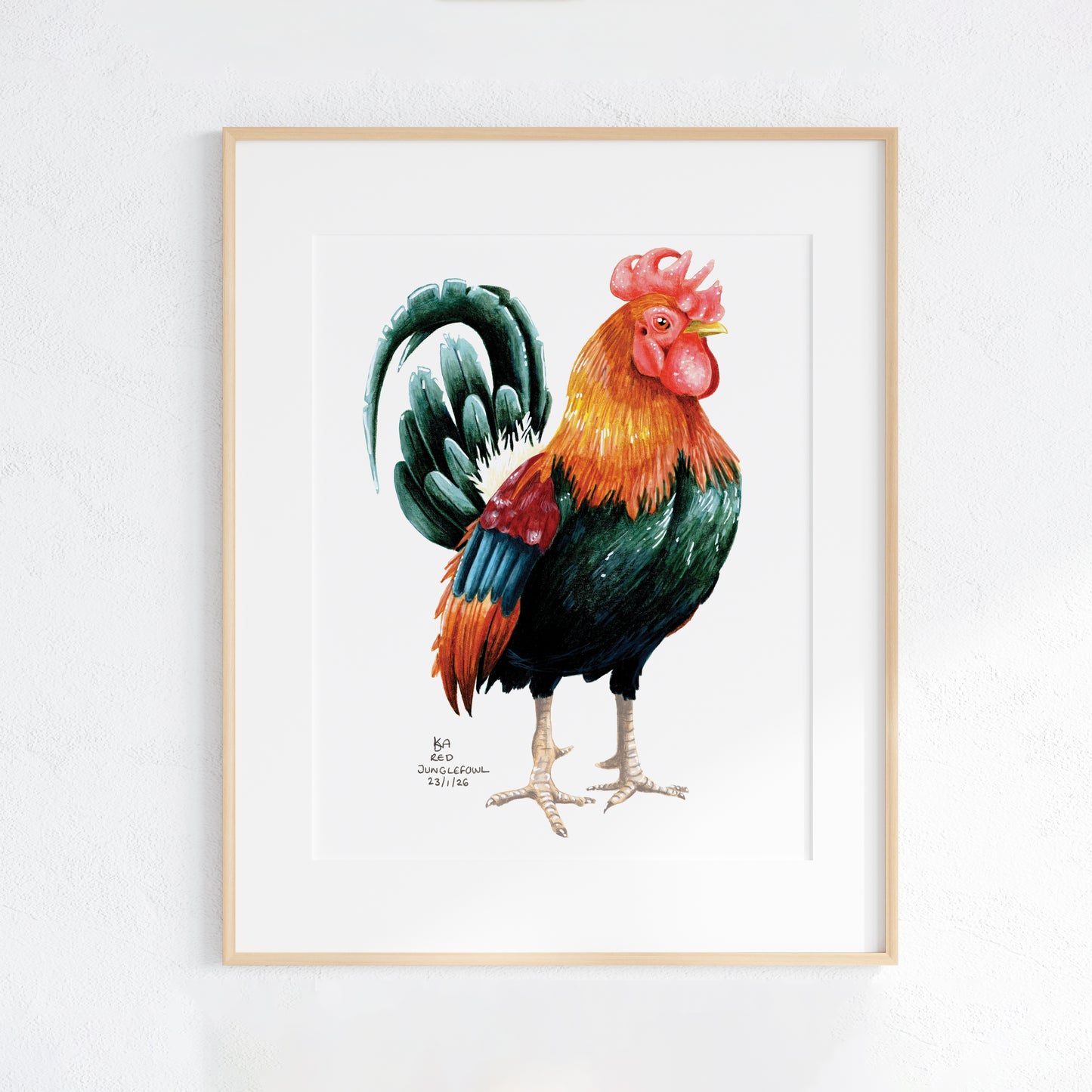 Framed artwork of a colorful rooster on a white background