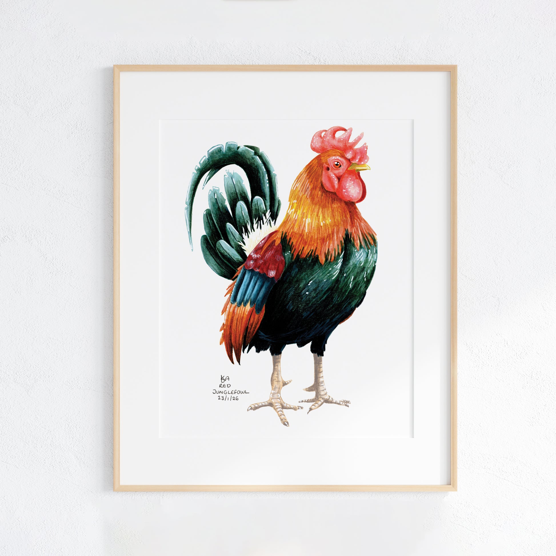 Framed artwork of a colorful rooster on a white background