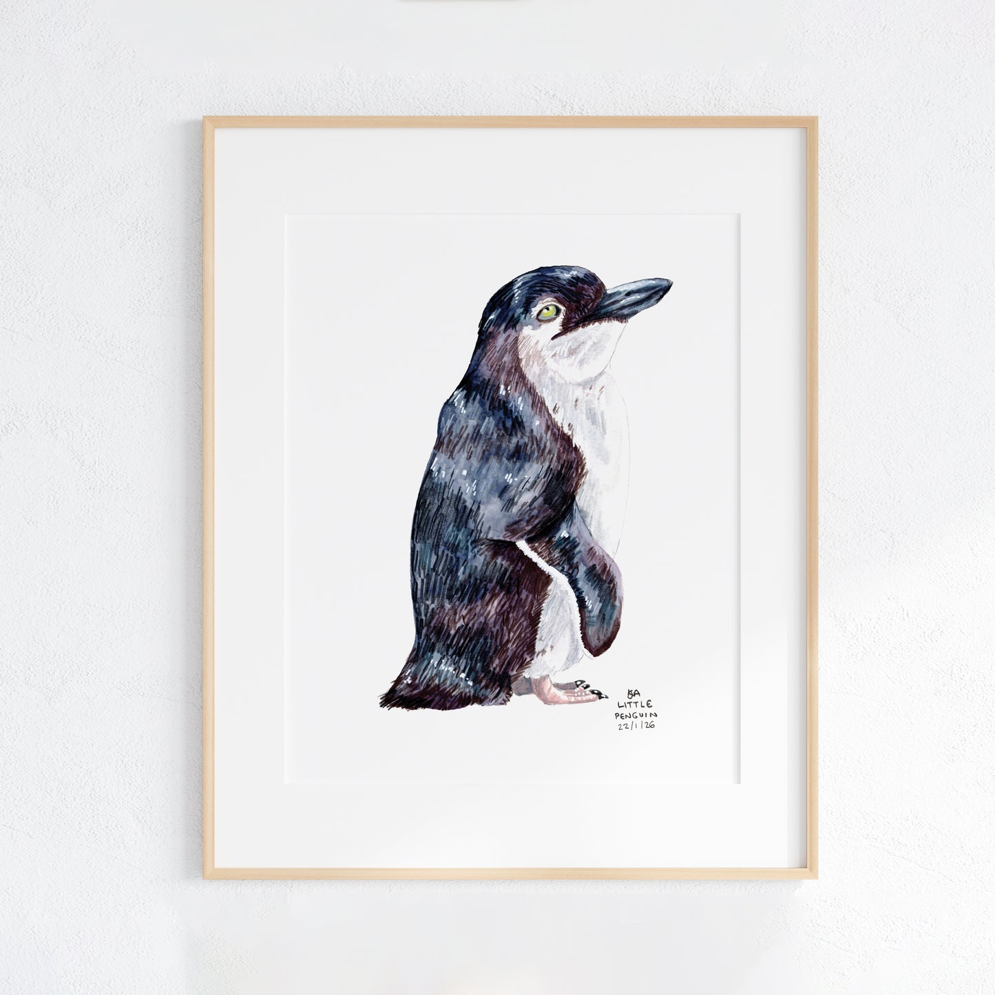 Framed artwork of a Little Penguin on a white wall background