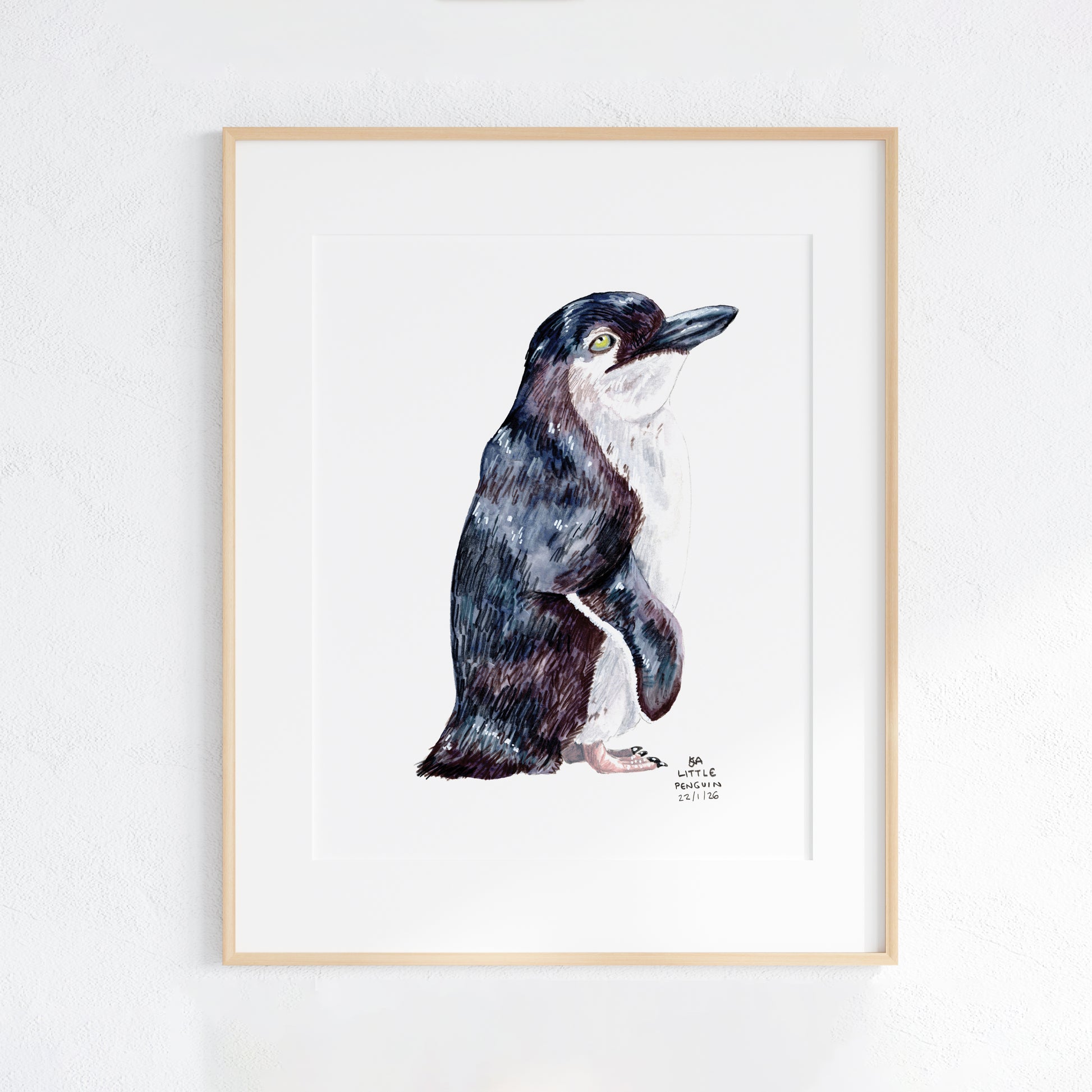 Framed artwork of a Little Penguin on a white wall background