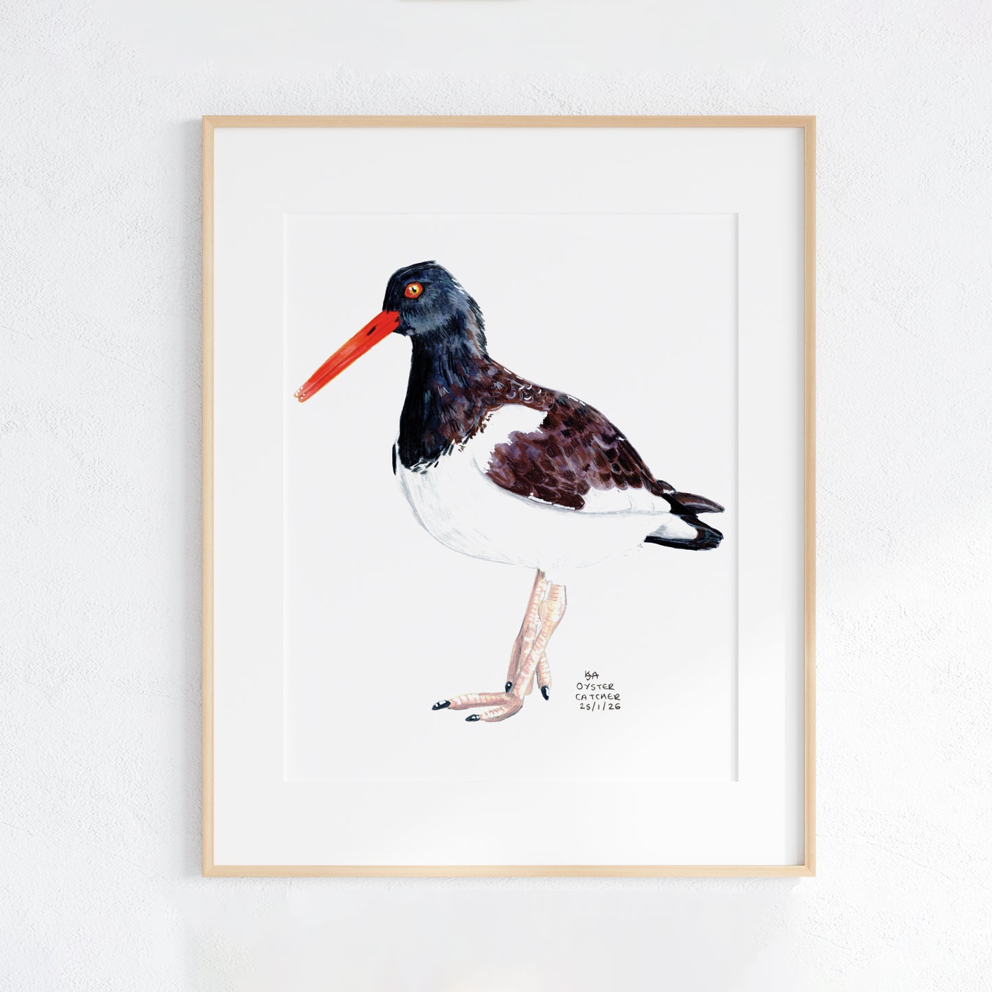 Framed artwork of a oyster catcher bird with a red beak on a white background
