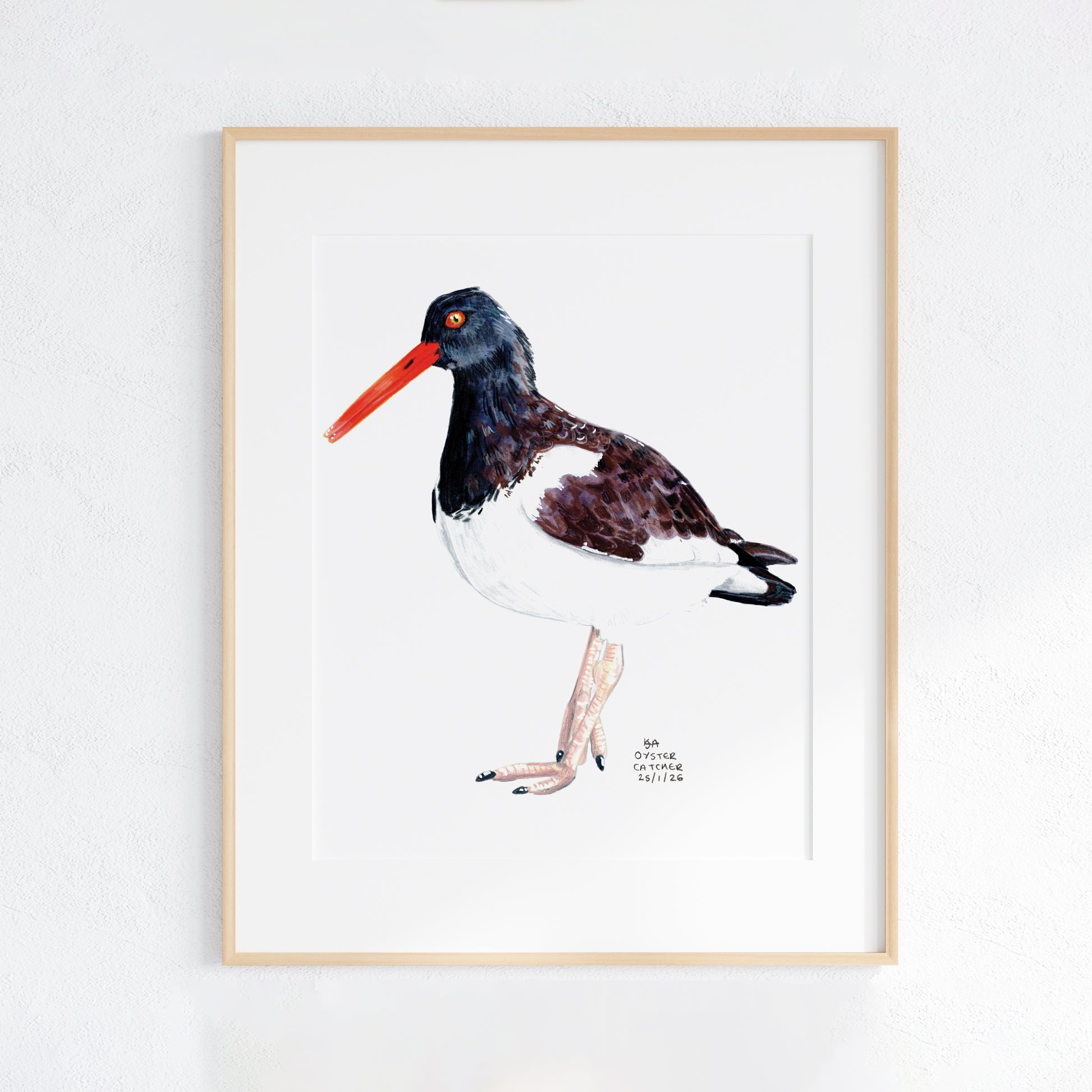 Framed artwork of a oyster catcher bird with a red beak on a white background