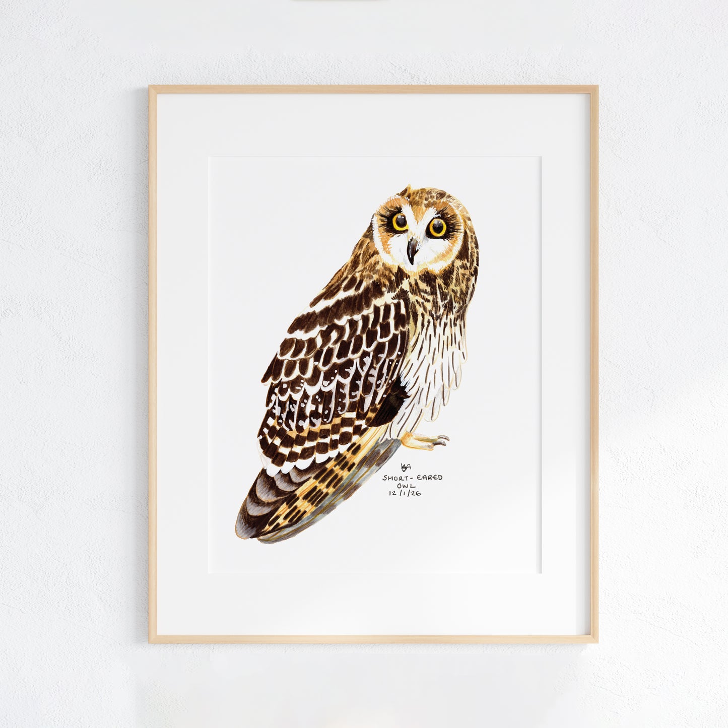 Framed artwork of an Short eared owl on a white background