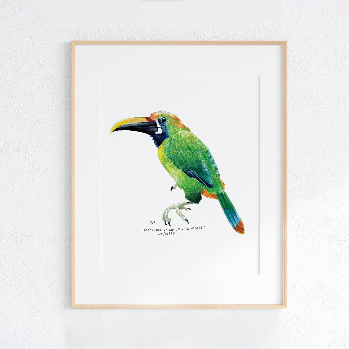 Framed artwork of a colourful Northern Emerald Toucanet on a white background